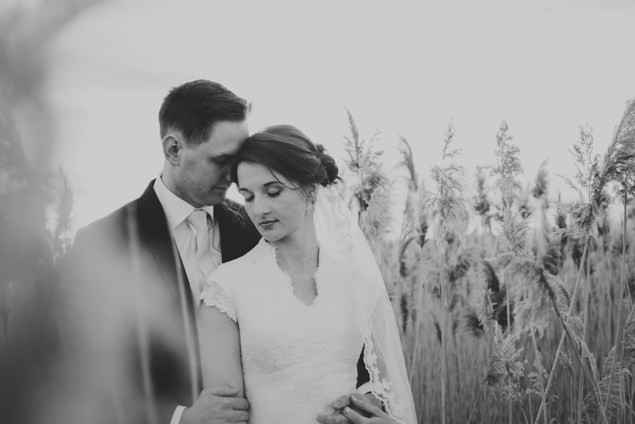 TaraWilcoxPhoto (594 of 818).jpg