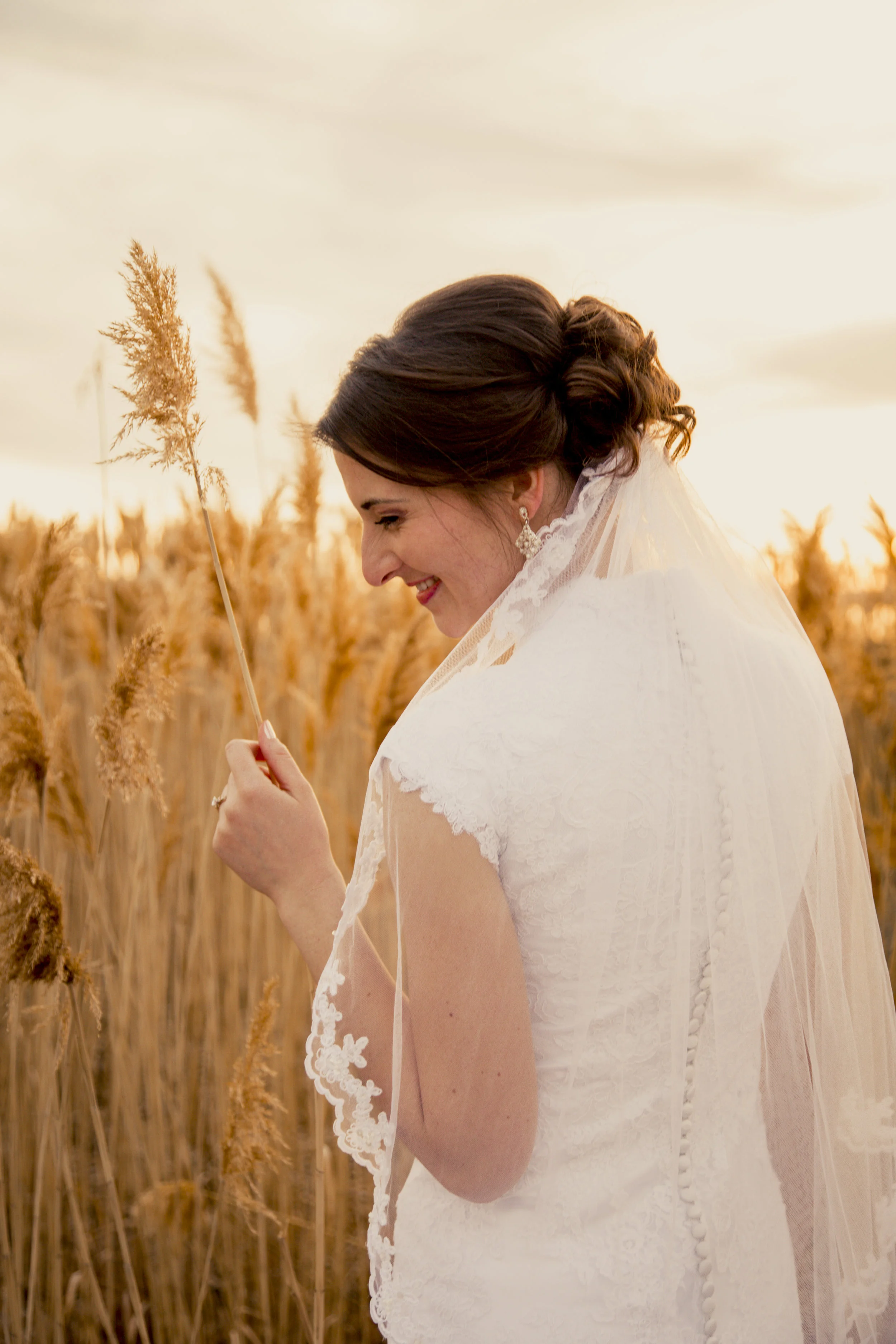 TaraWilcoxPhoto (602 of 818).jpg