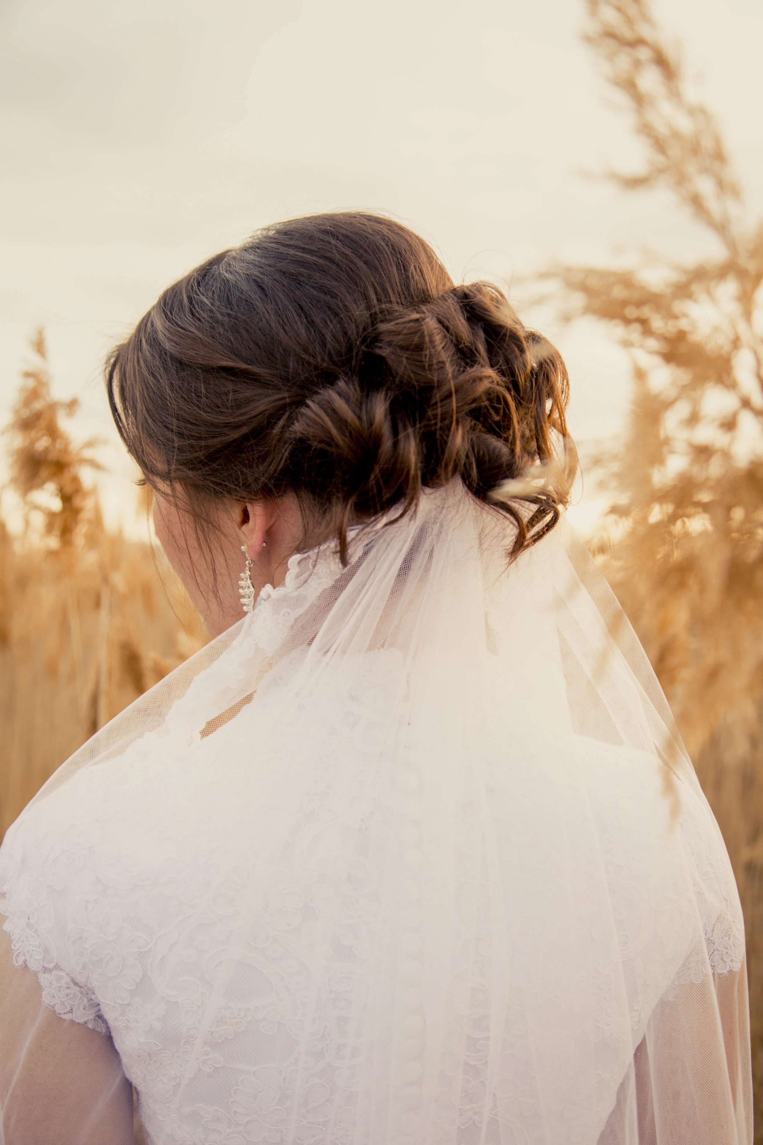 TaraWilcoxPhoto (618 of 818).jpg