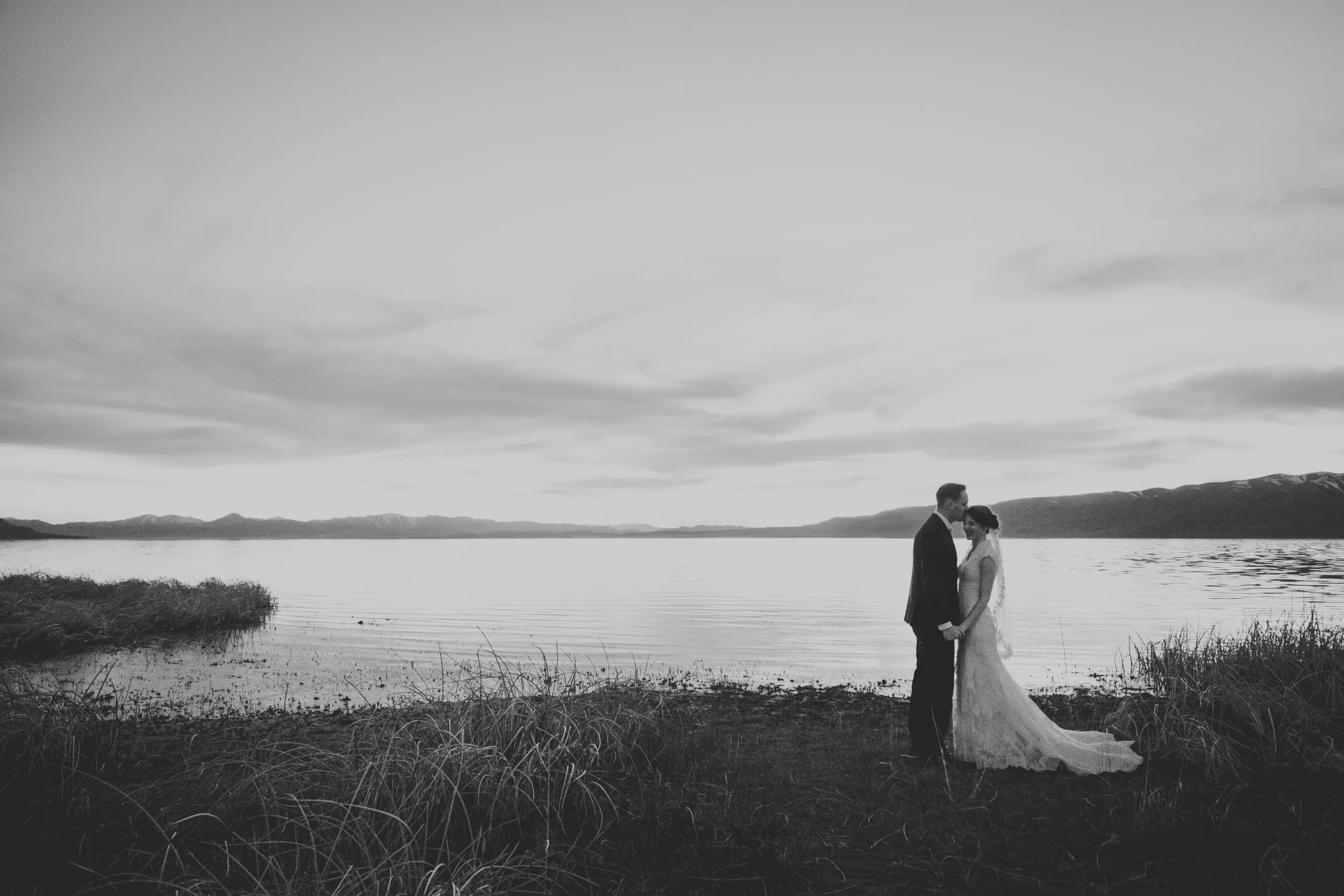 TaraWilcoxPhoto (790 of 818).jpg