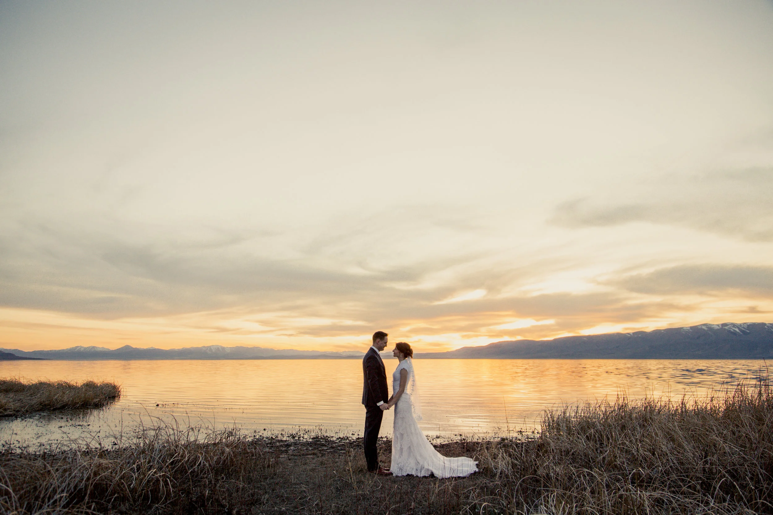 TaraWilcoxPhoto (785 of 818).jpg