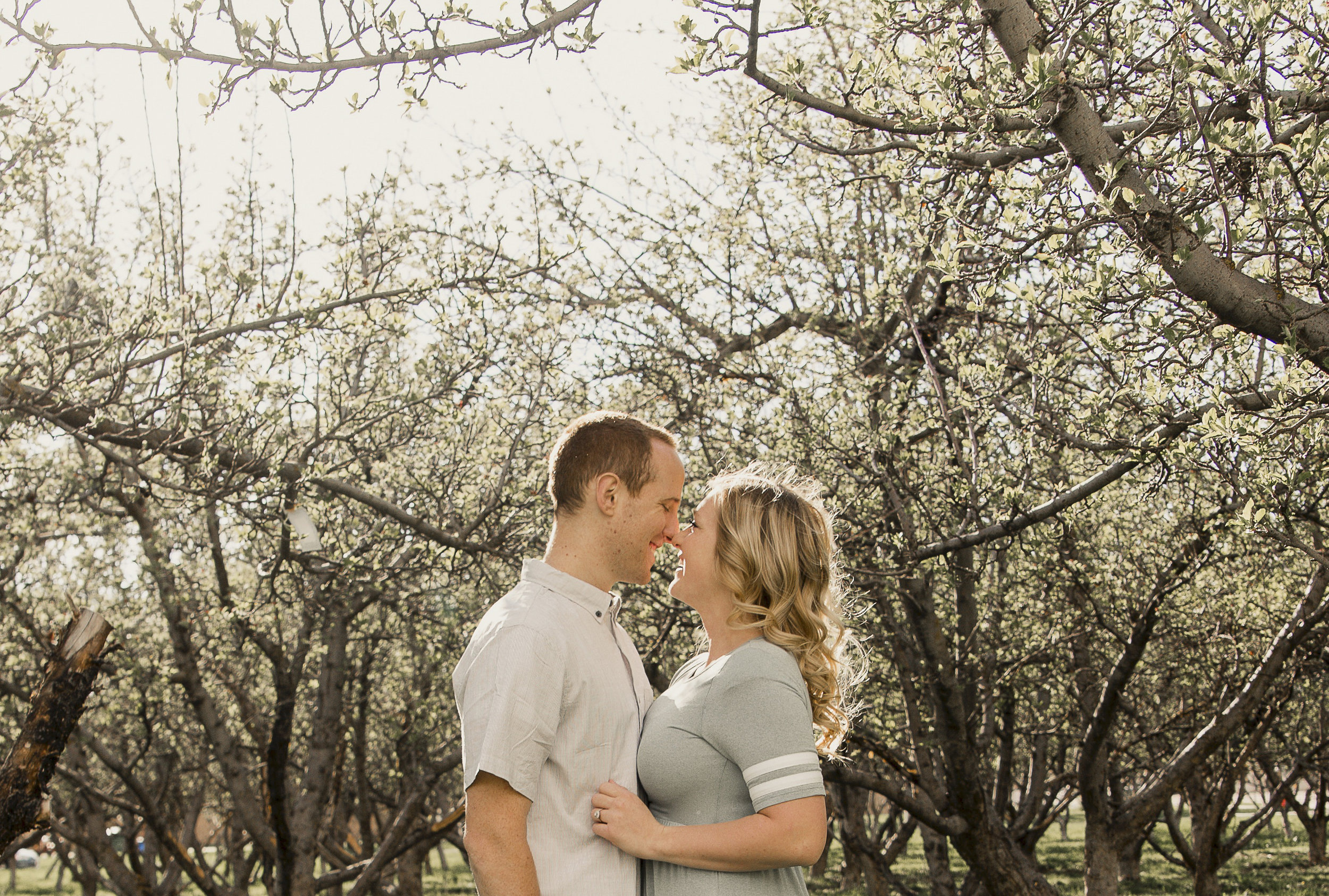 TaraWilcoxPhoto (6 of 27).jpg