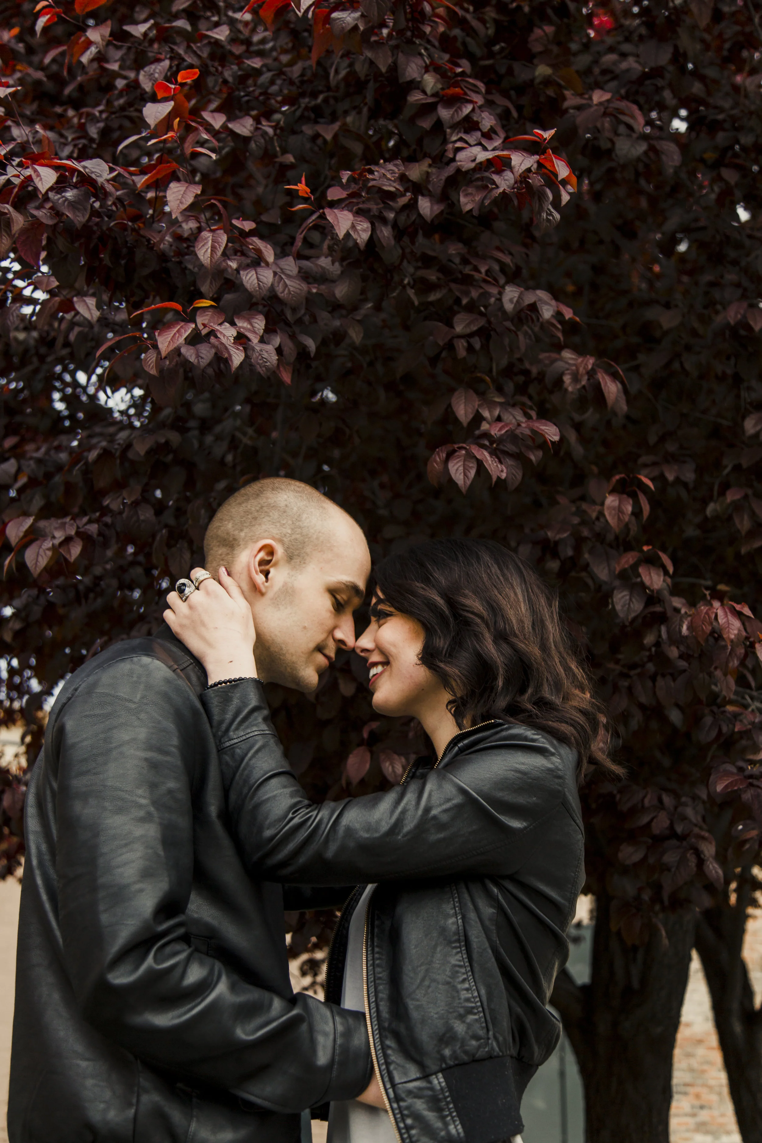 TaraWilcoxPhoto (18 of 43).jpg