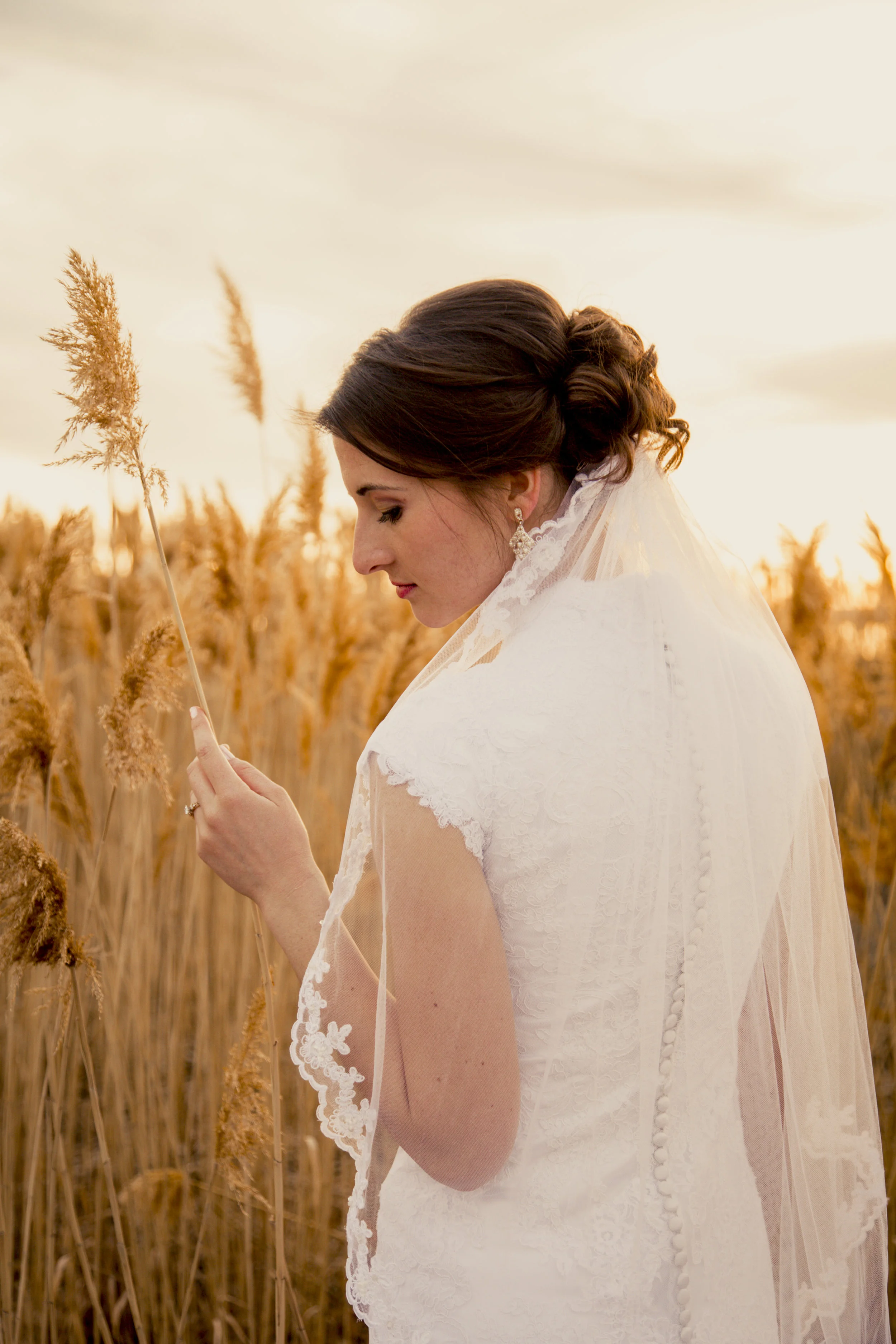 TaraWilcoxPhoto (600 of 818).jpg