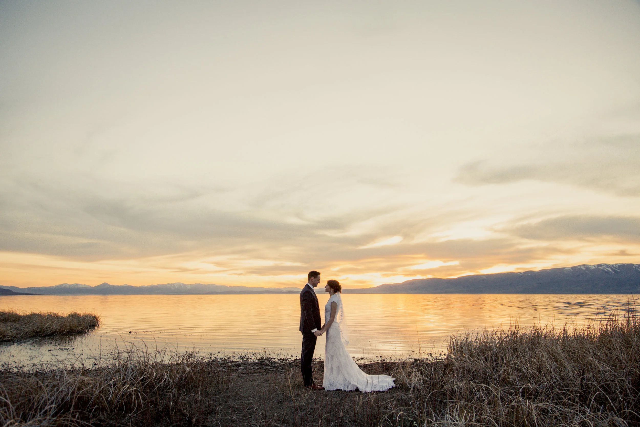 TaraWilcoxPhoto (786 of 818).jpg