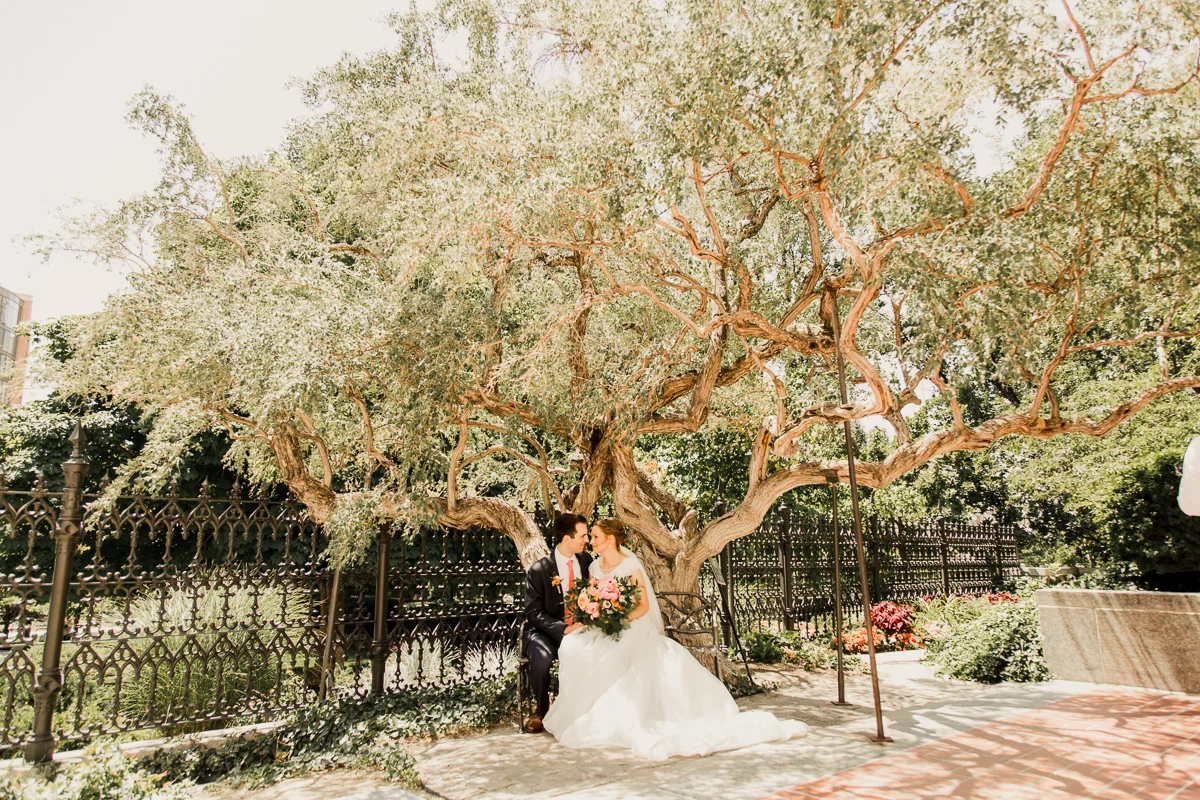 TaraWilcoxPhoto (1 of 20).jpg