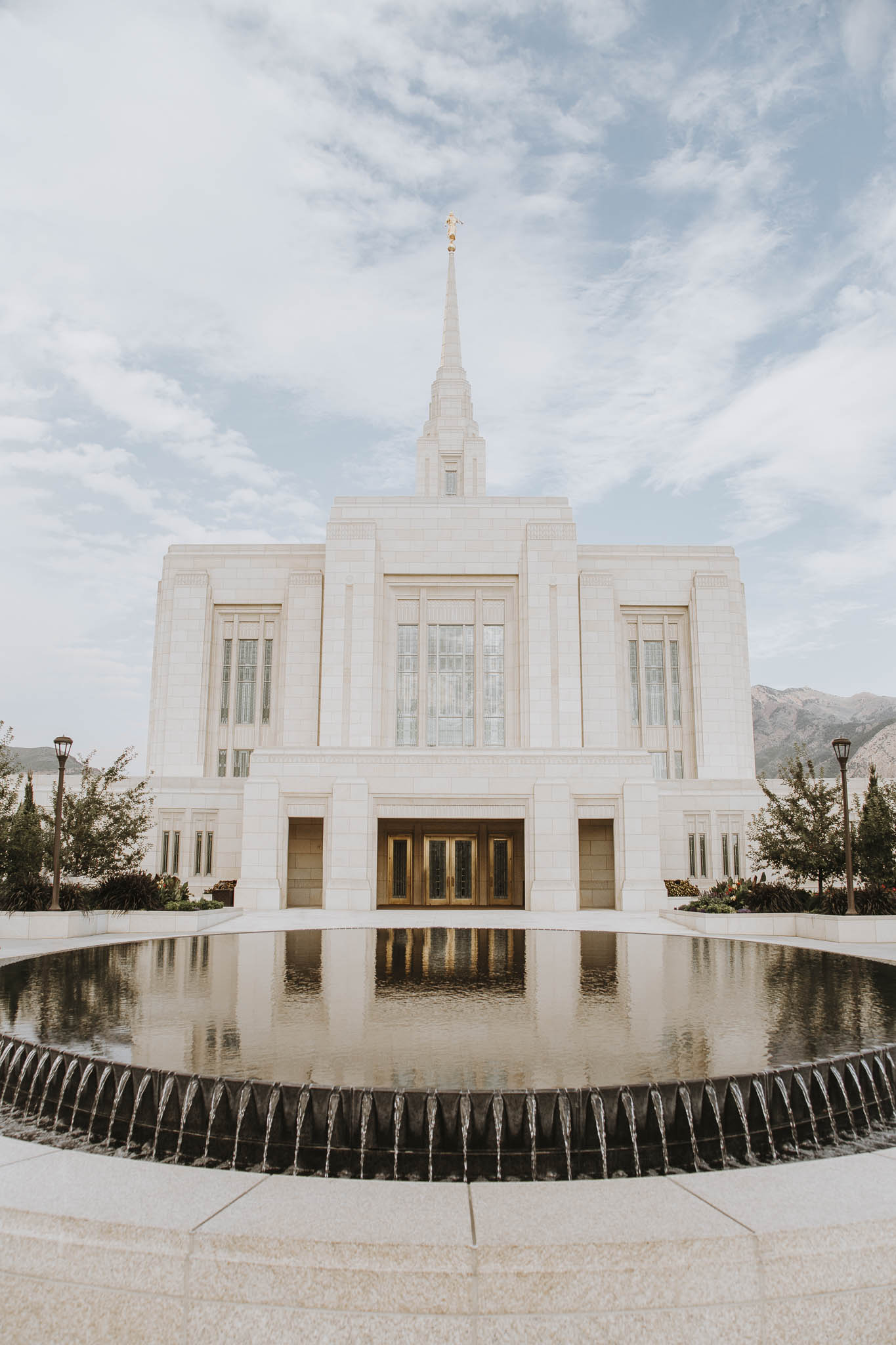 TaraWilcoxPhoto-1.jpg
