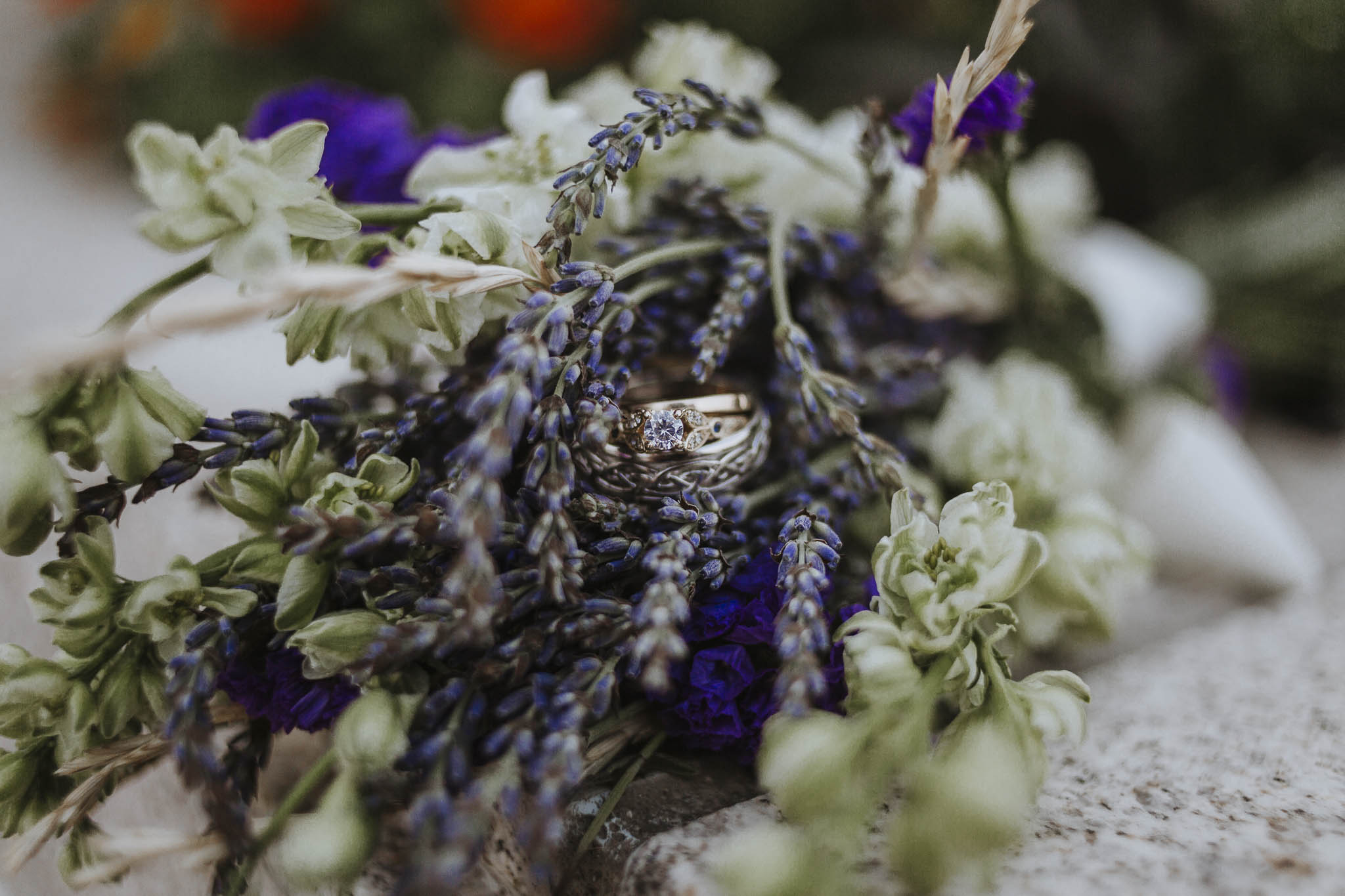 TaraWilcoxPhoto-45.jpg