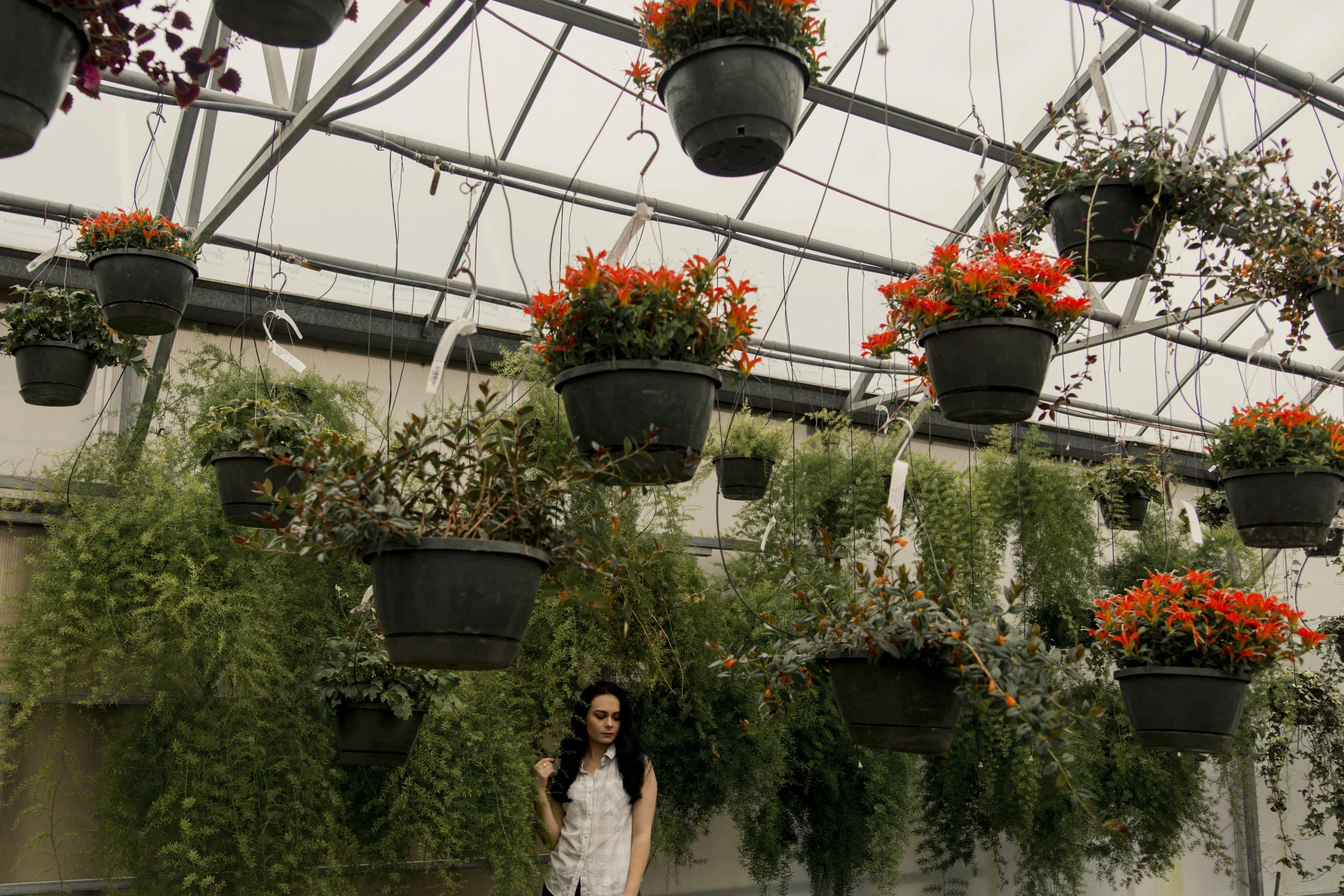 TaraWilcoxPhoto (22 of 52).jpg