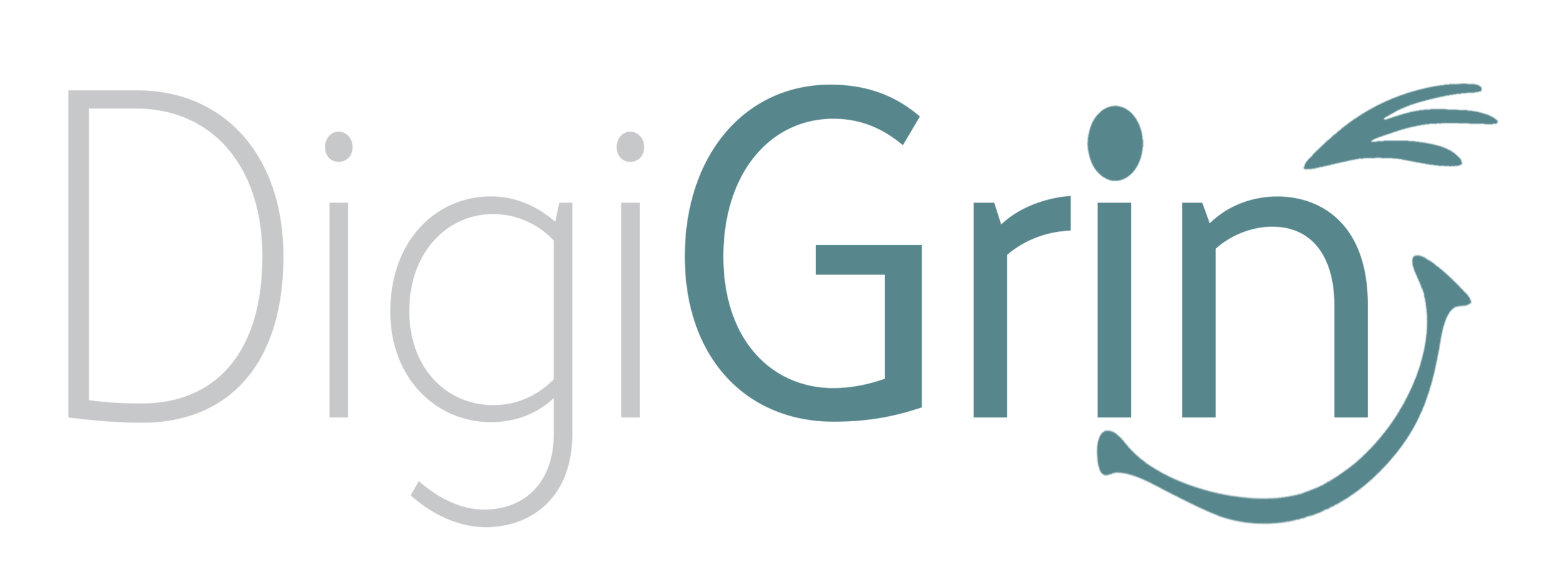 DigiGrin Logo Long.png