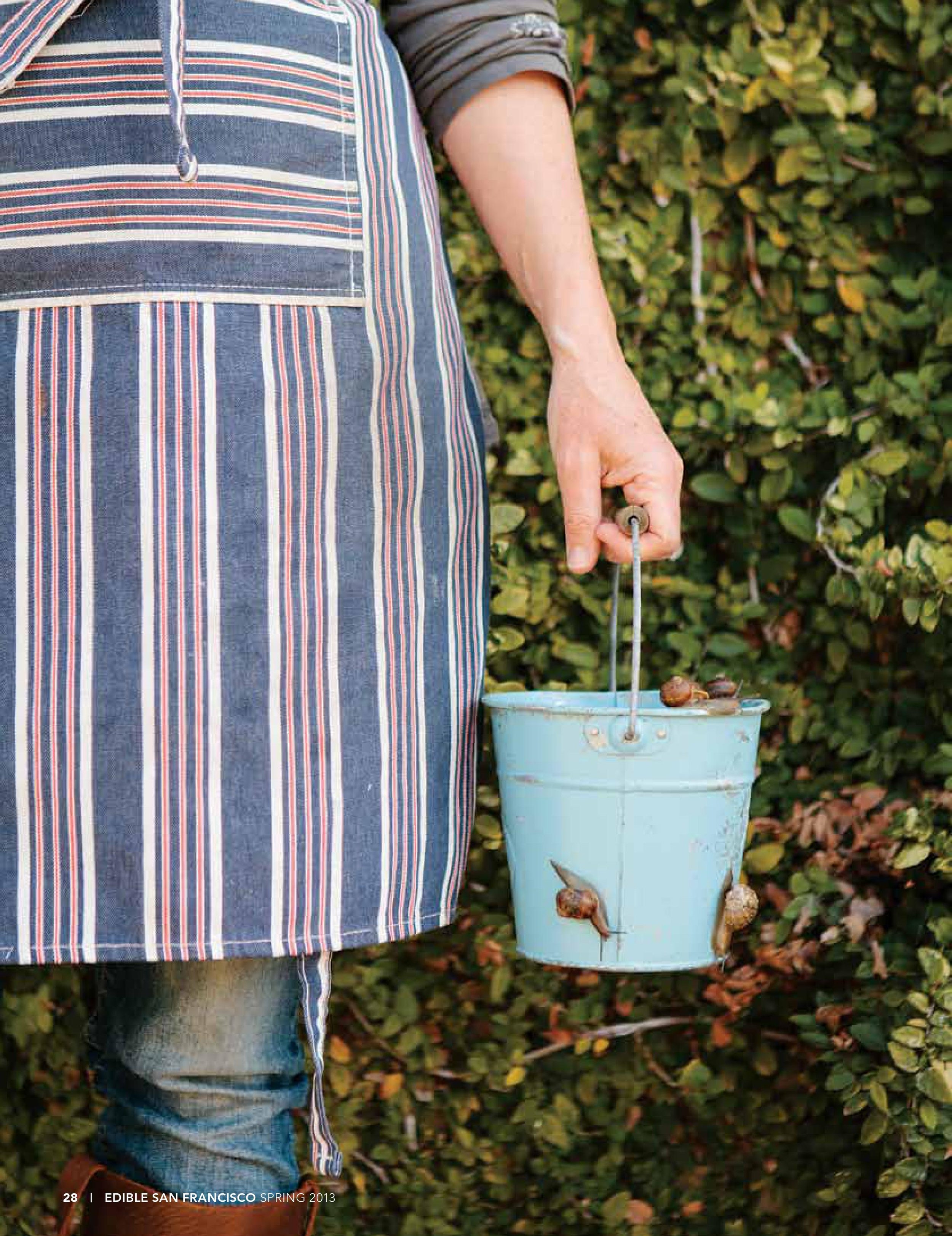 A Snail's Tale: Stalking the Original Slow Food in a San Francisco Garden