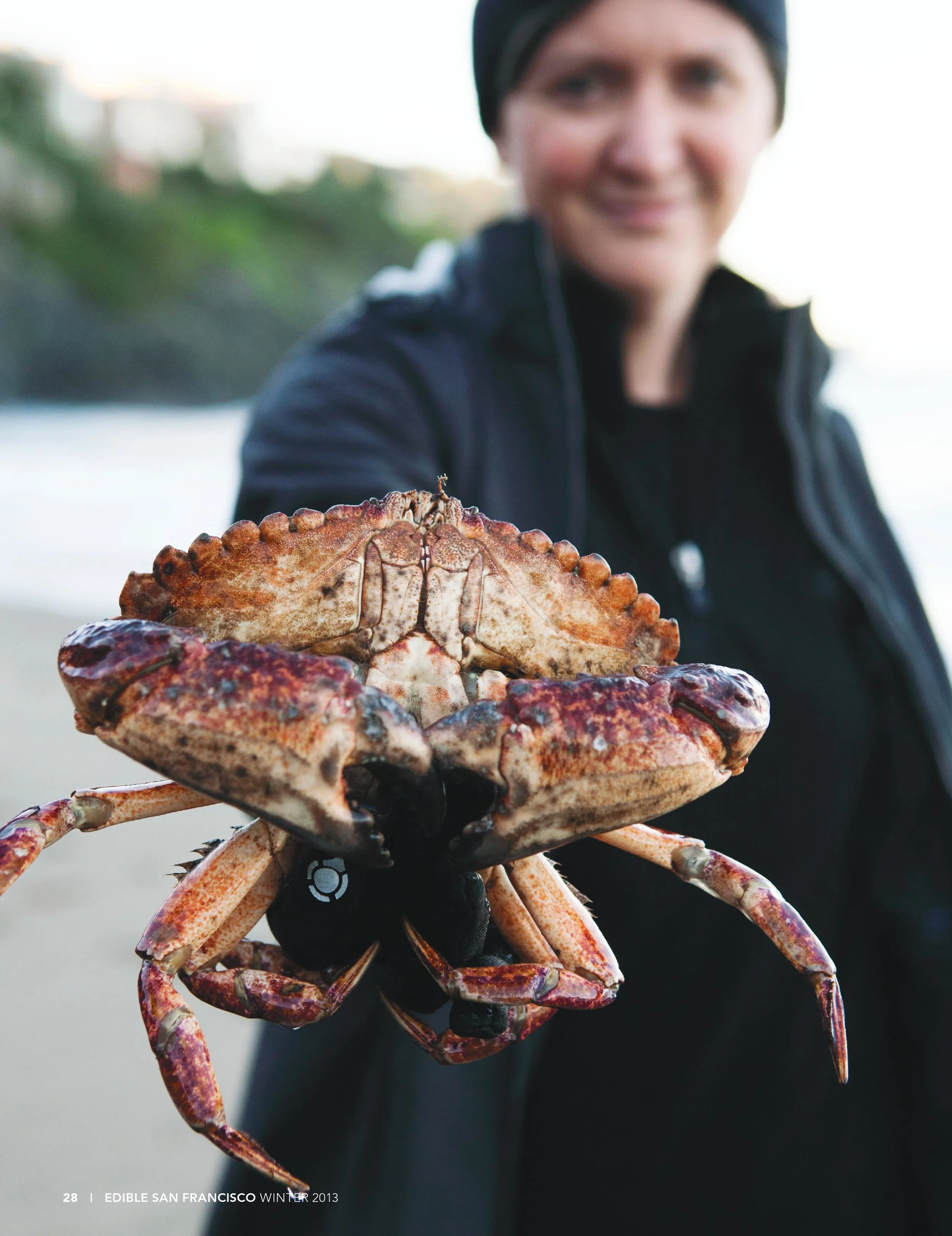 Copy of A Day in the Life of a Crab Lover
