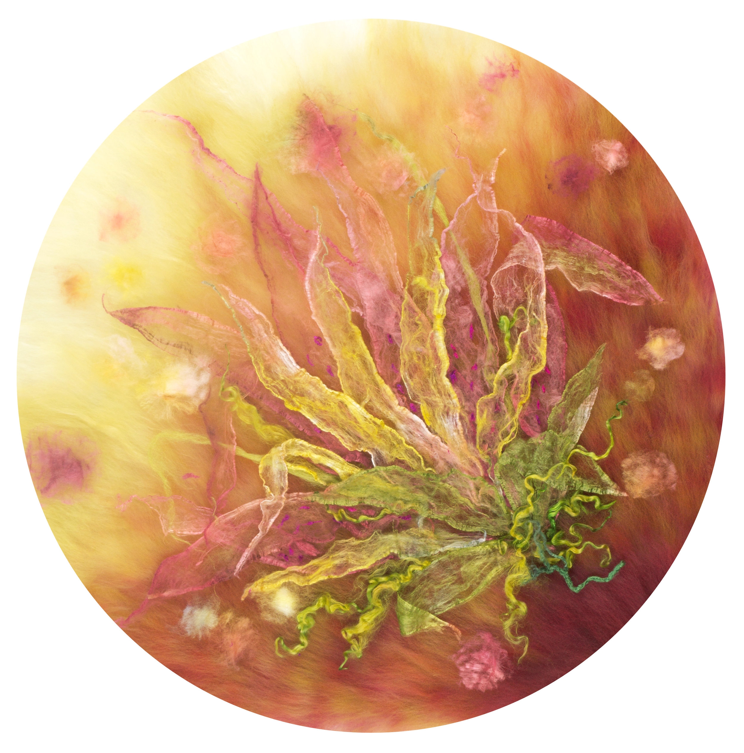Loosely Lily.jpg
