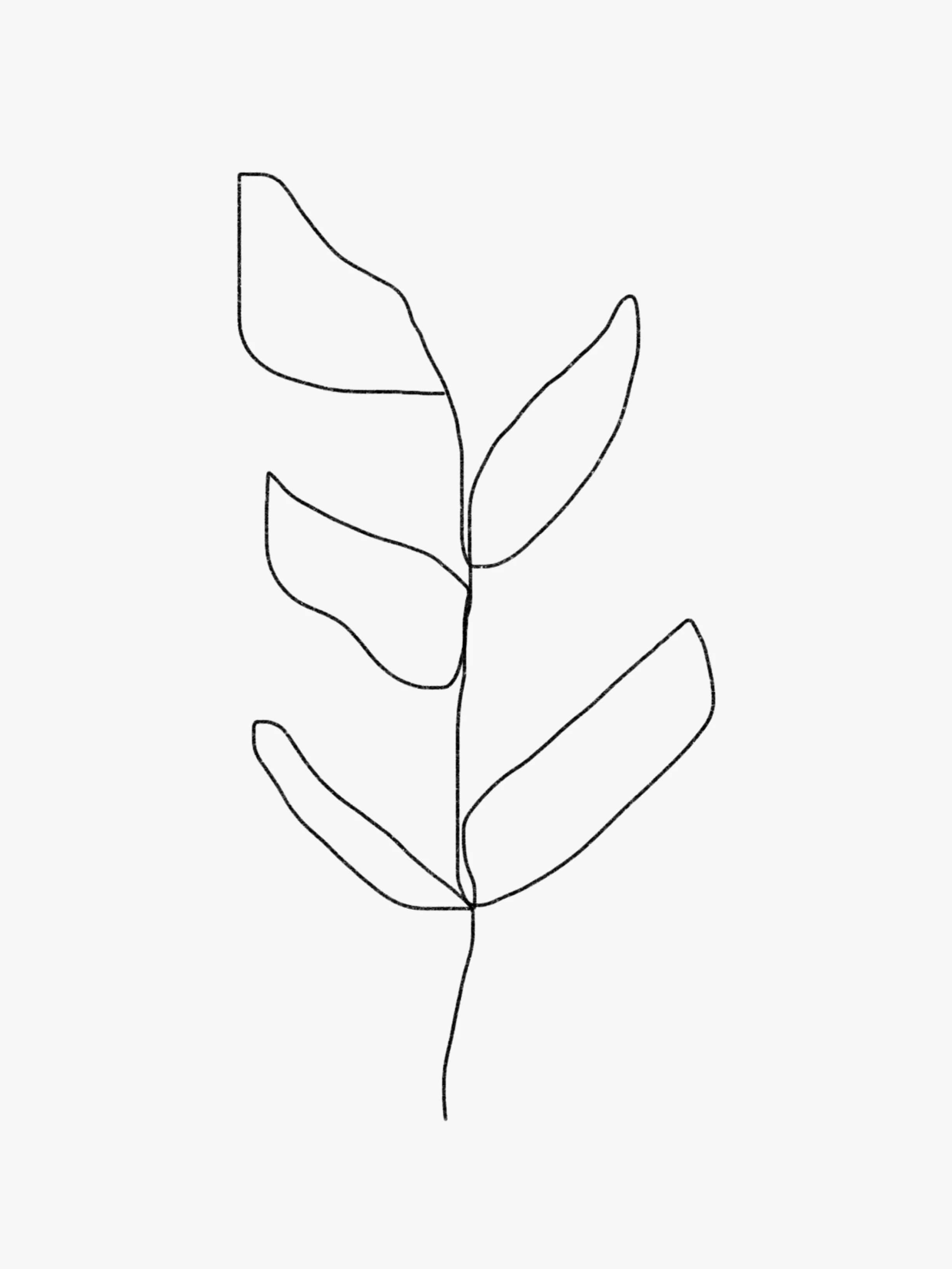 leaf-new-02.jpg