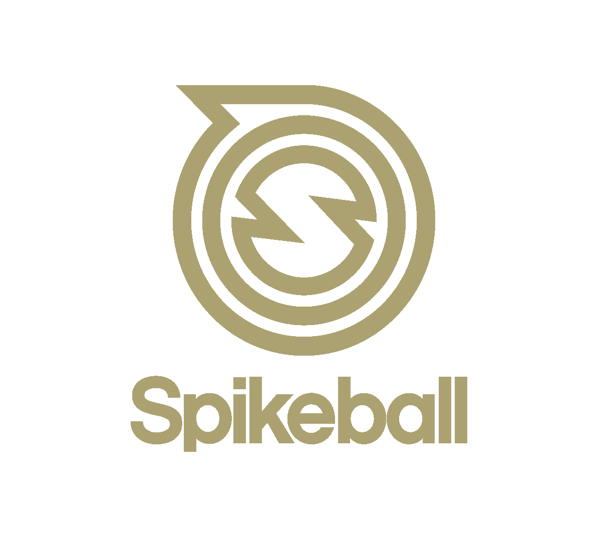 Spikeball.png