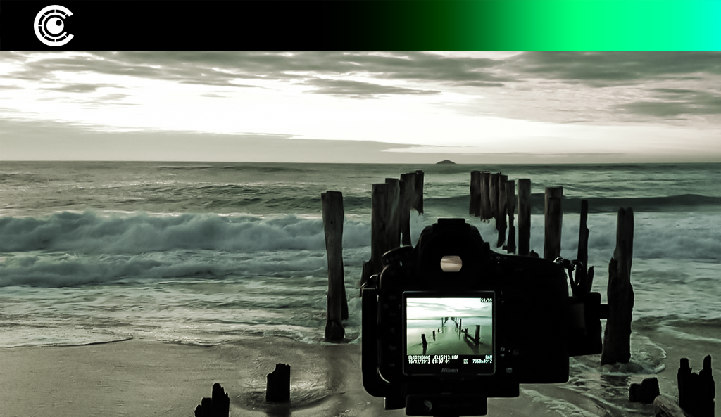 Web Banner.png