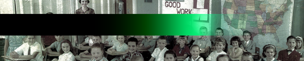 Web Banner Video-Ins.png