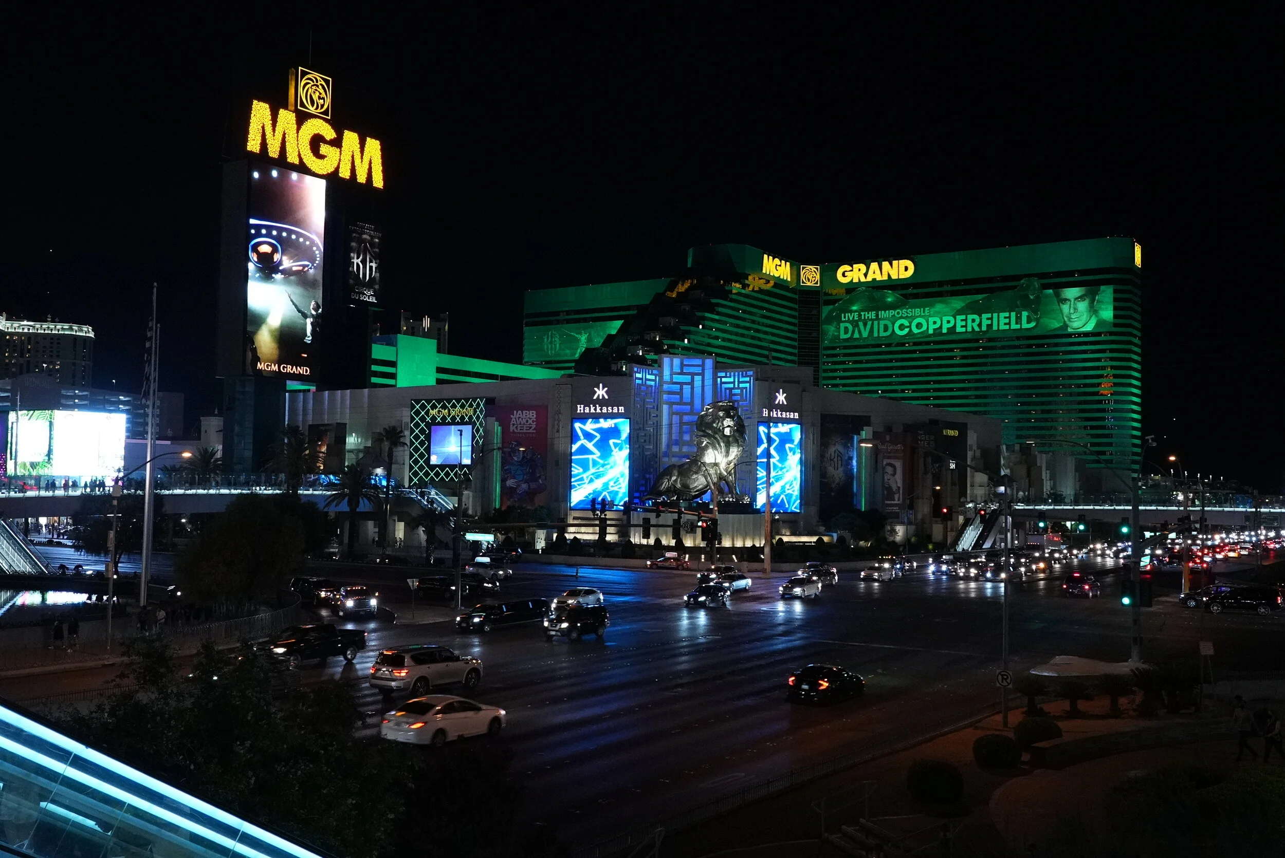 DSC05440.JPG