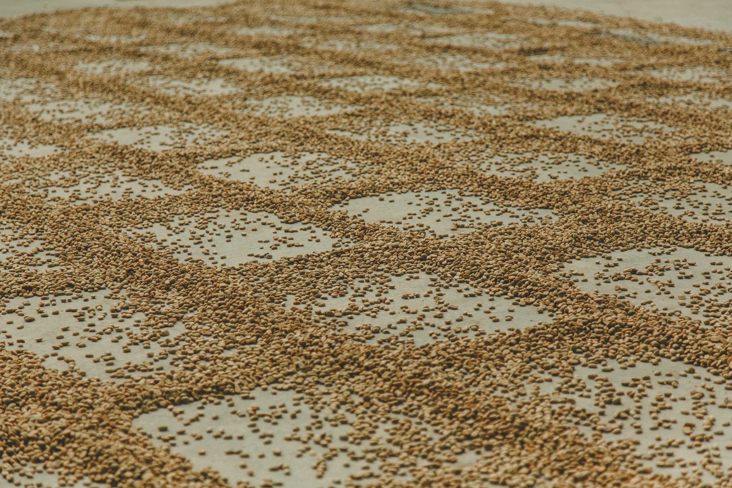 DryingSquares.jpg