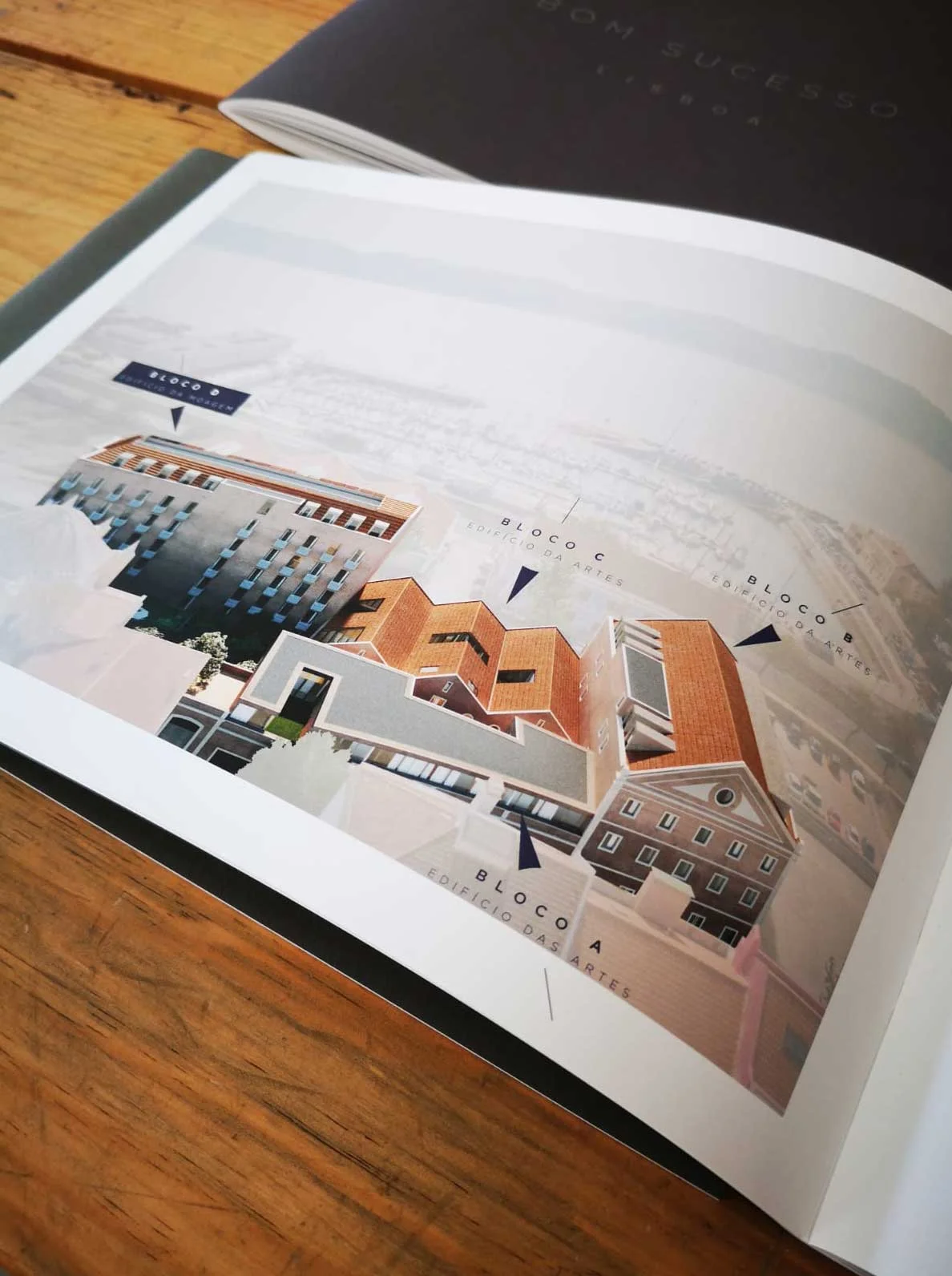 losh_editorial_design_04.jpg