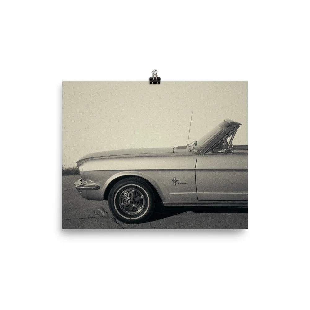 enhanced-matte-paper-poster-(in)-8x10-transparent-6942466bf02b7.jpg