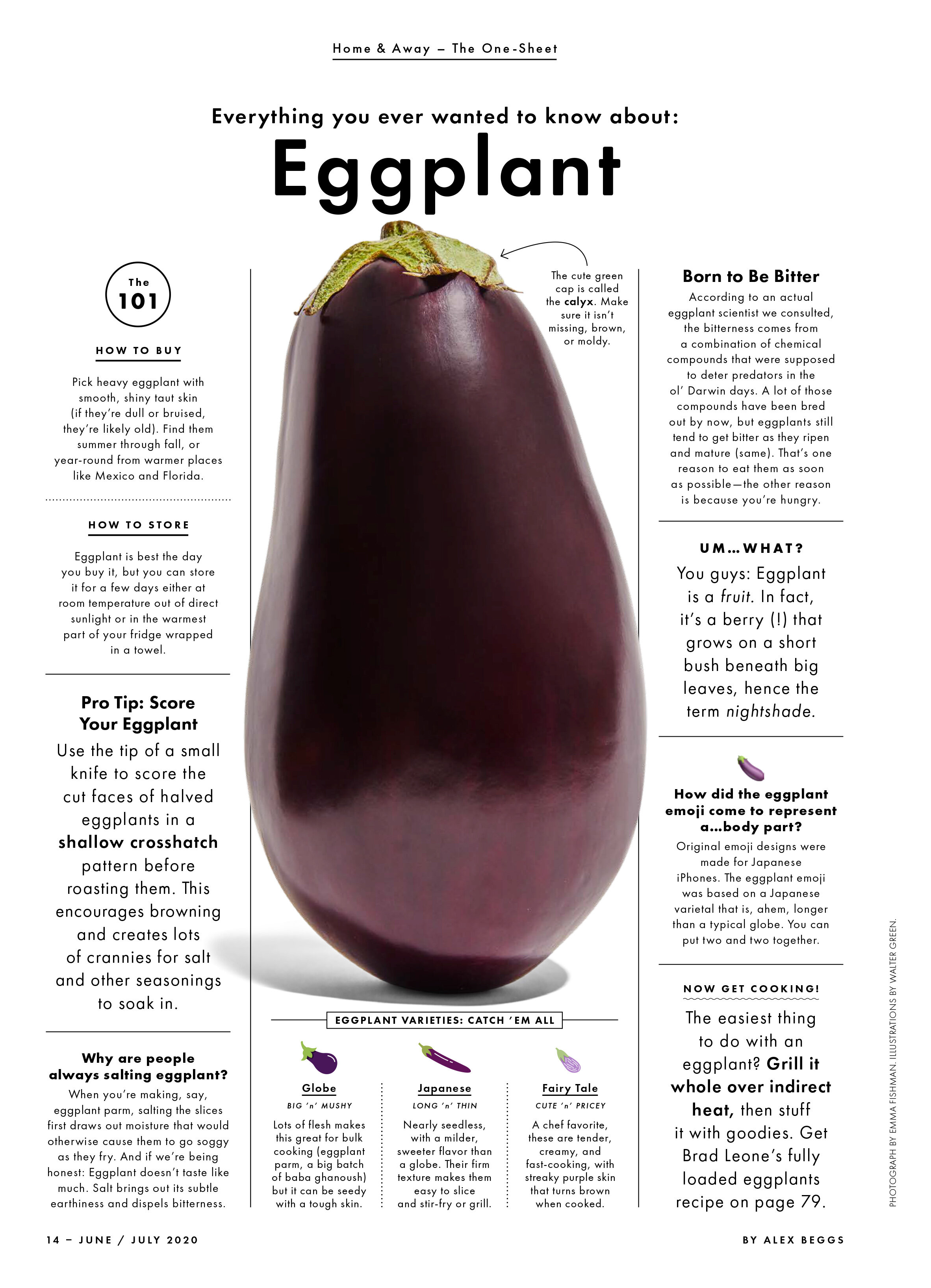 BA0620_Eggplant.jpg