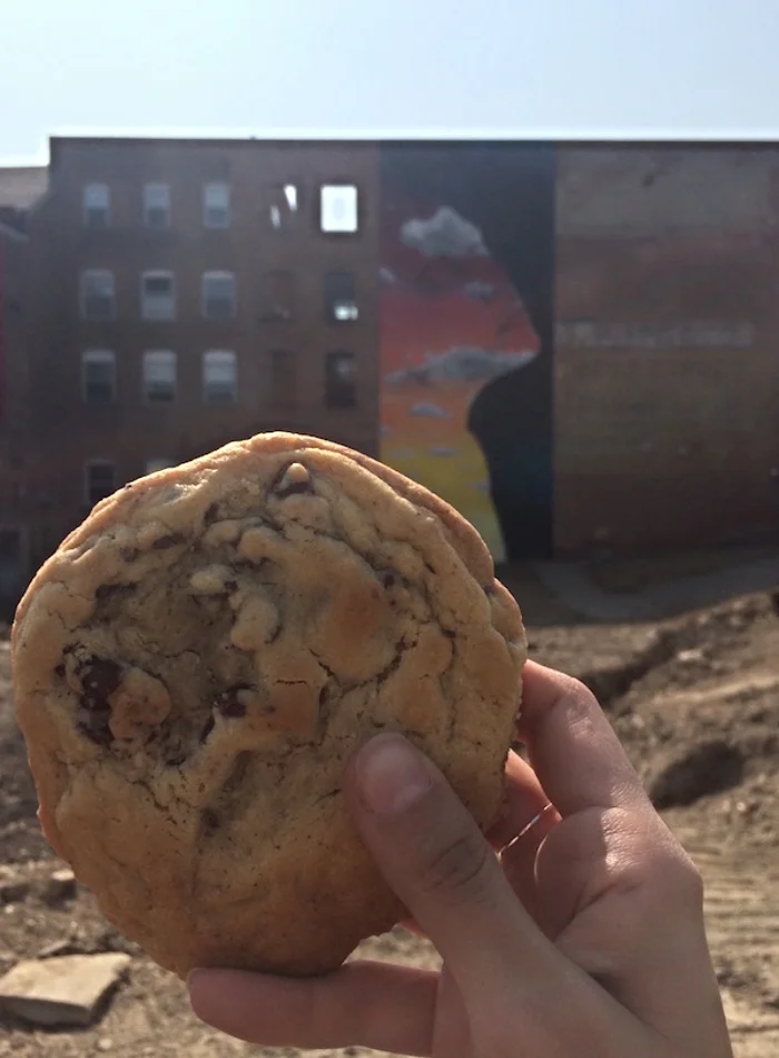 Chocolate Chip Cookie from 2 Alices