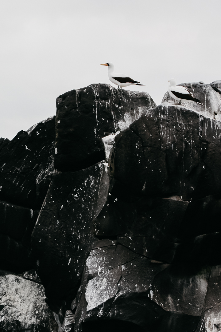 For us, the biggest thing that stood out while planning this trip with Graham was his first-hand experience and knowledge. It was definitely the most crucial component of our trip