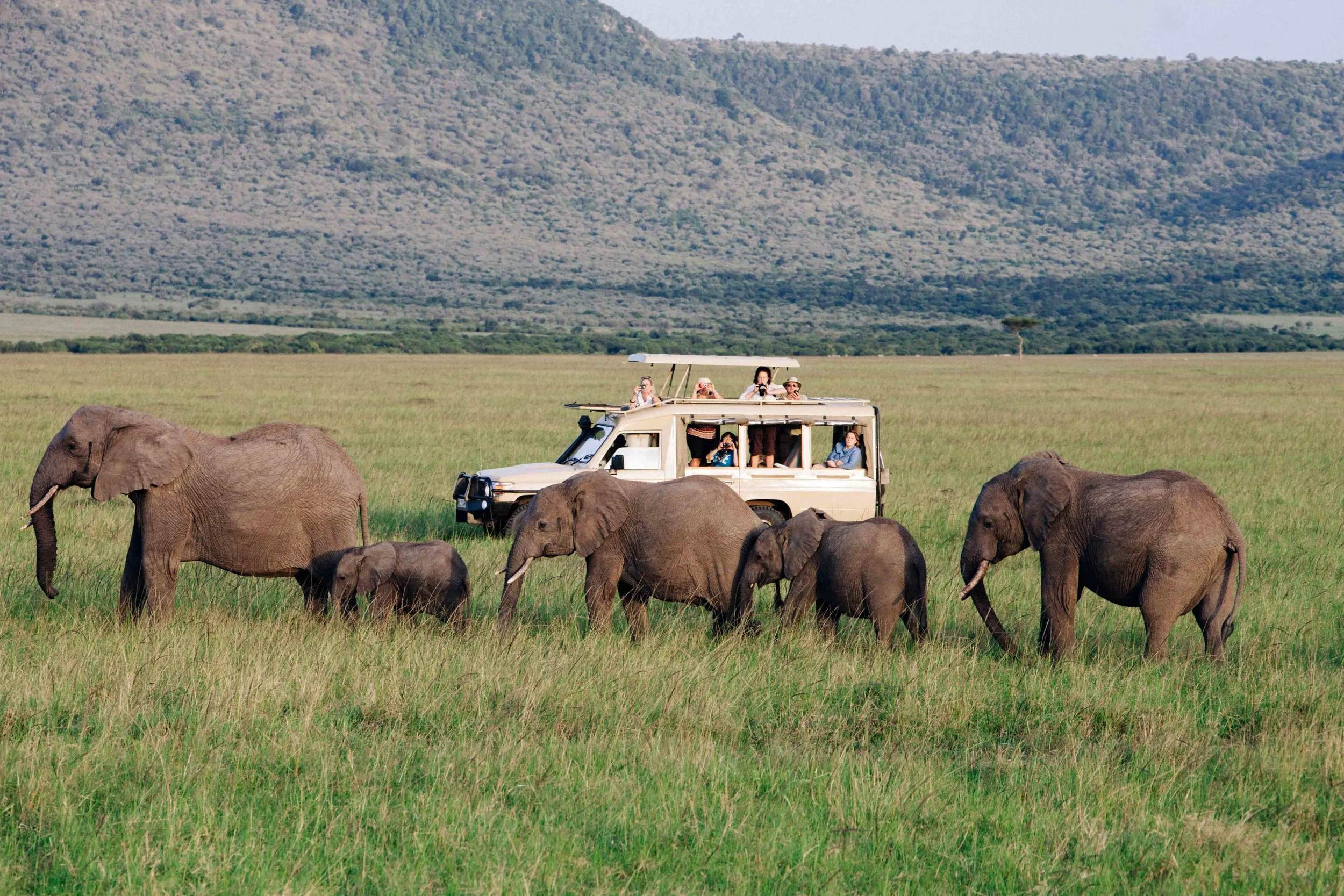 Kenya Safari Tallis Journeys Africa Travel.jpg