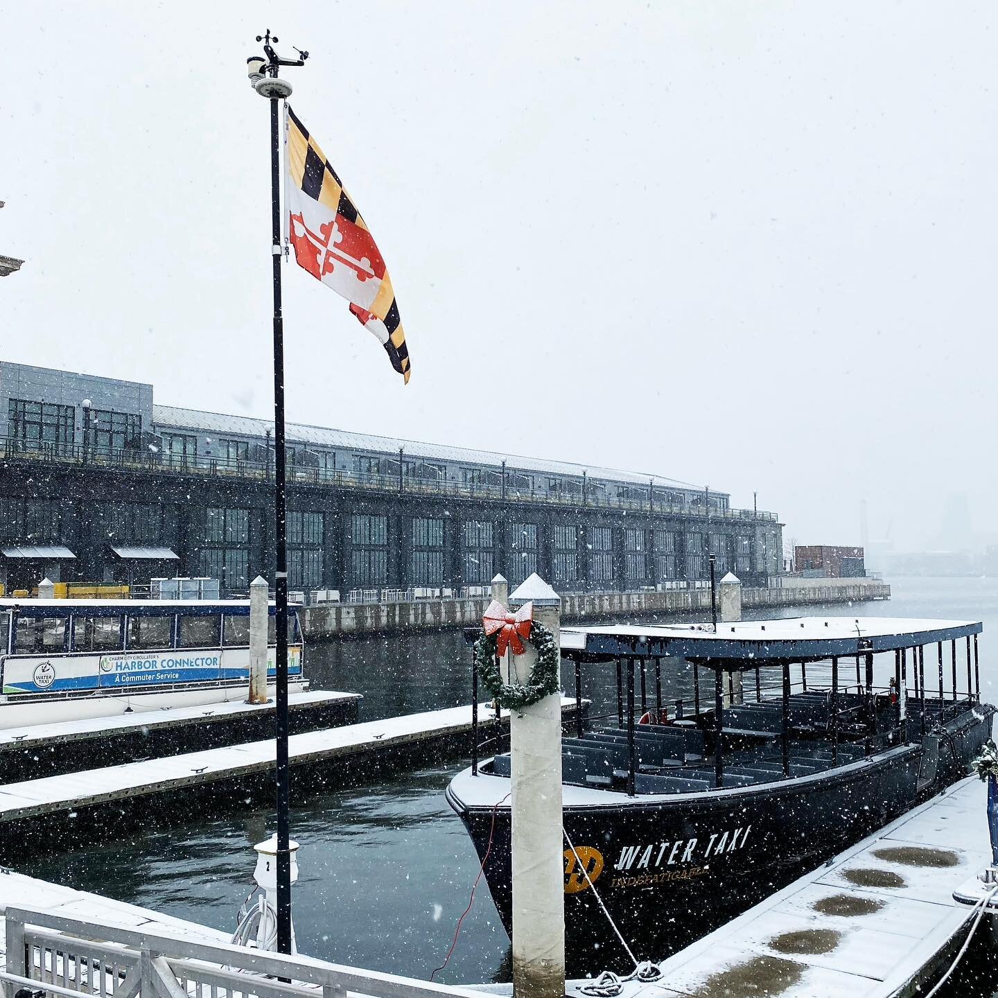 First snow of the season in #FellsPoint 🎄 
.
.
.
.
#fellspointmainstreet #fellspointbaltimore #baltimore #baltimorewatertaxi #watertaxi #recpier #thepoint #baltimorecity