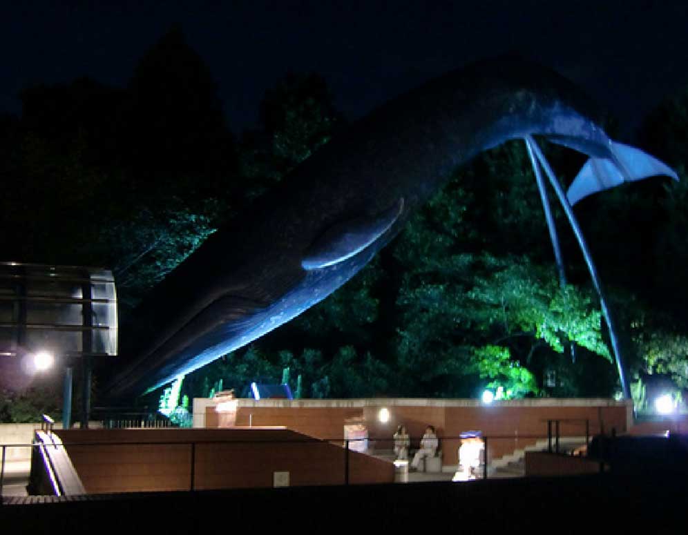2014 (1月) 上野国立科学博物館にLED照明「XI」を導入