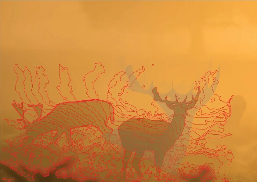 Composite Deer Â