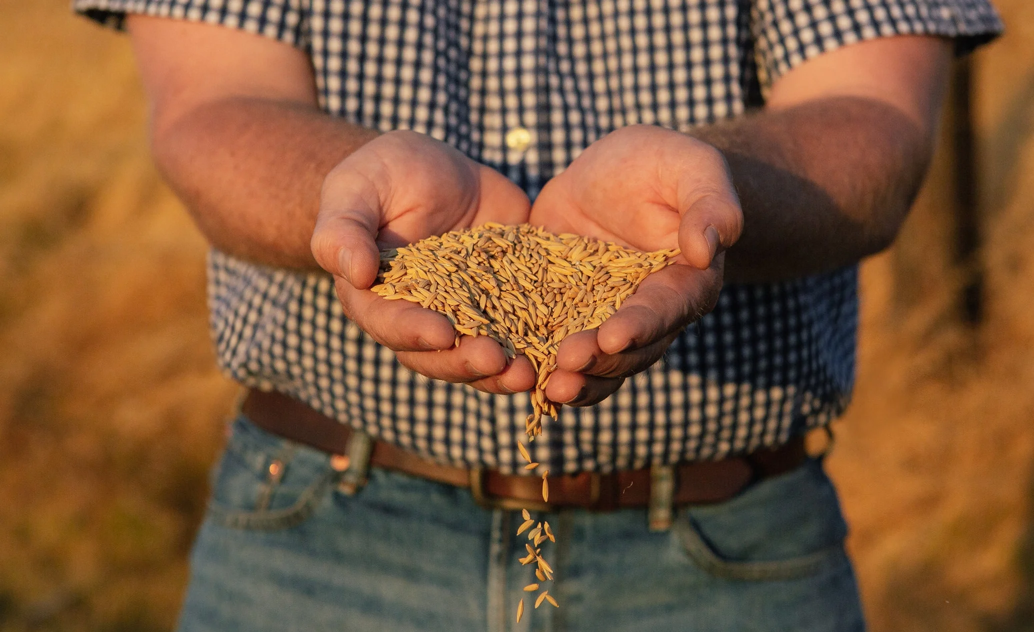 Next Generation Foods