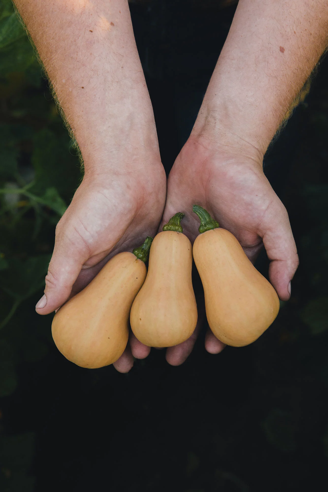 Edible-Row7_0059-3_Web.jpg