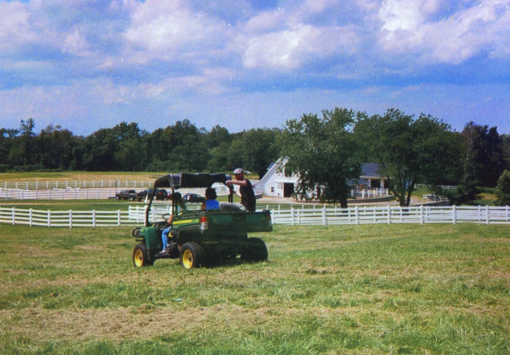 81616262.jpg