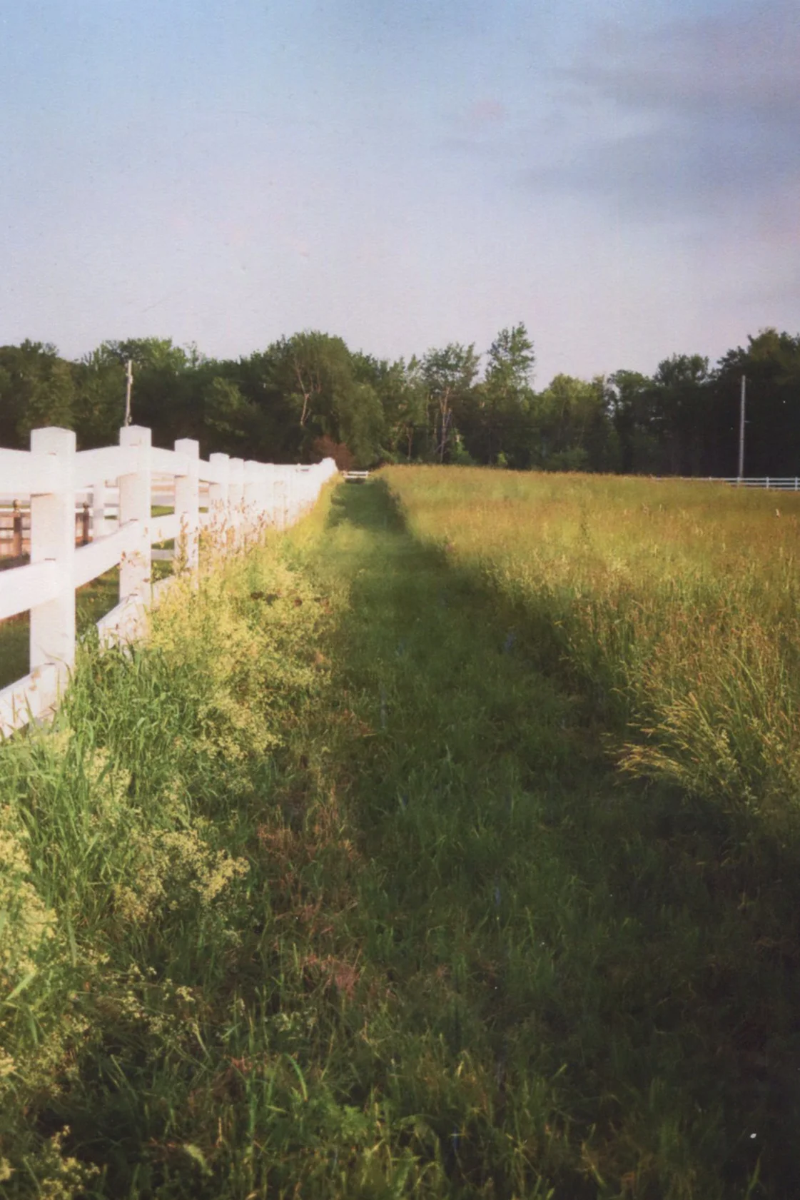 Hay Path.jpg