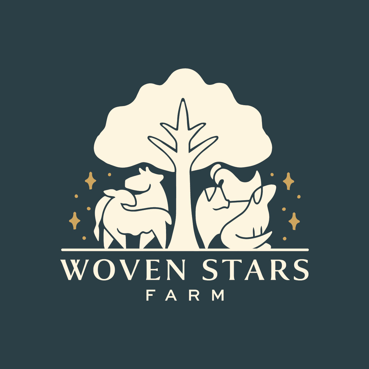 Woven Stars Farm Logo -01.jpg