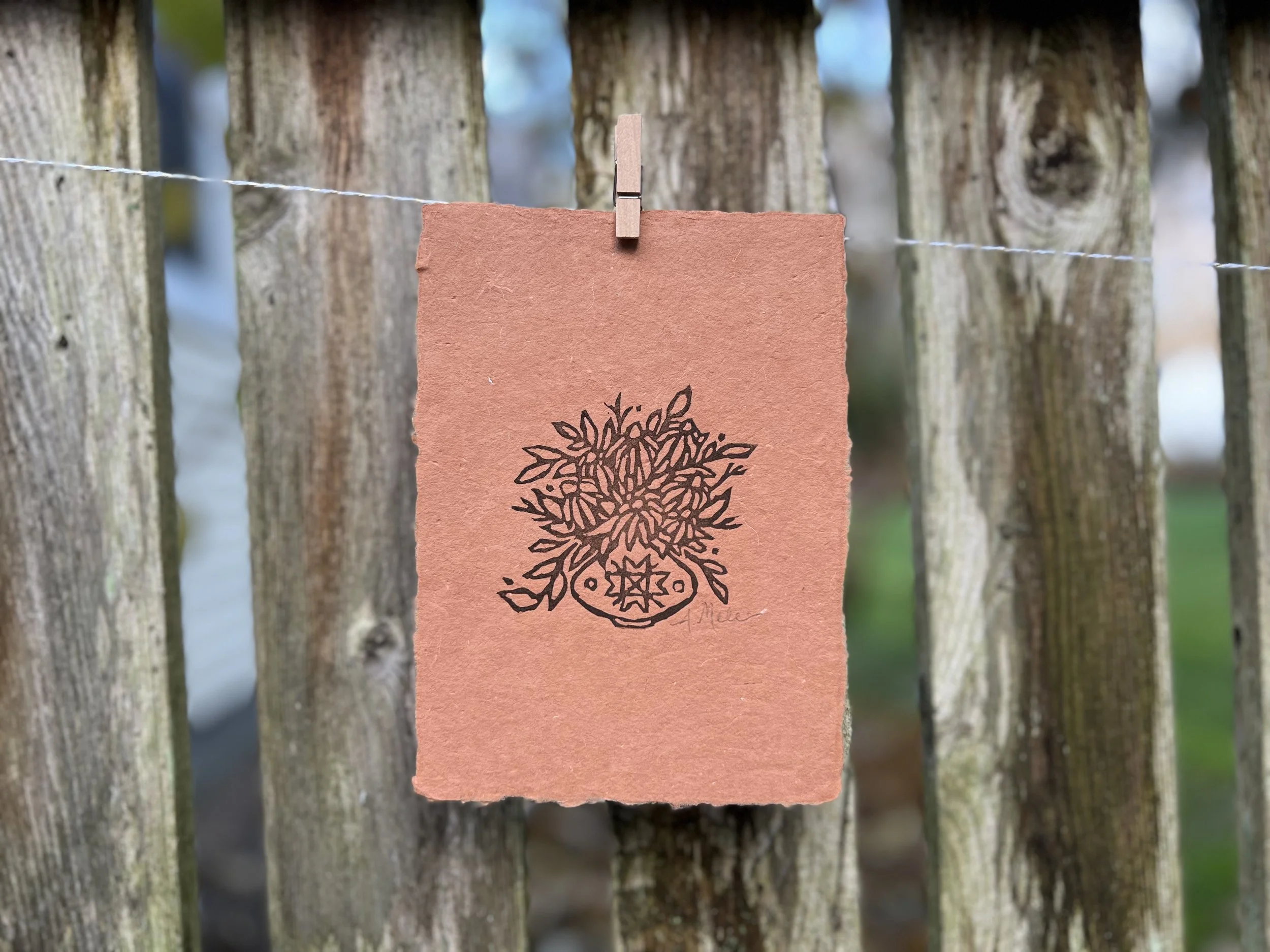 Echincea Terra Horizontal.jpg