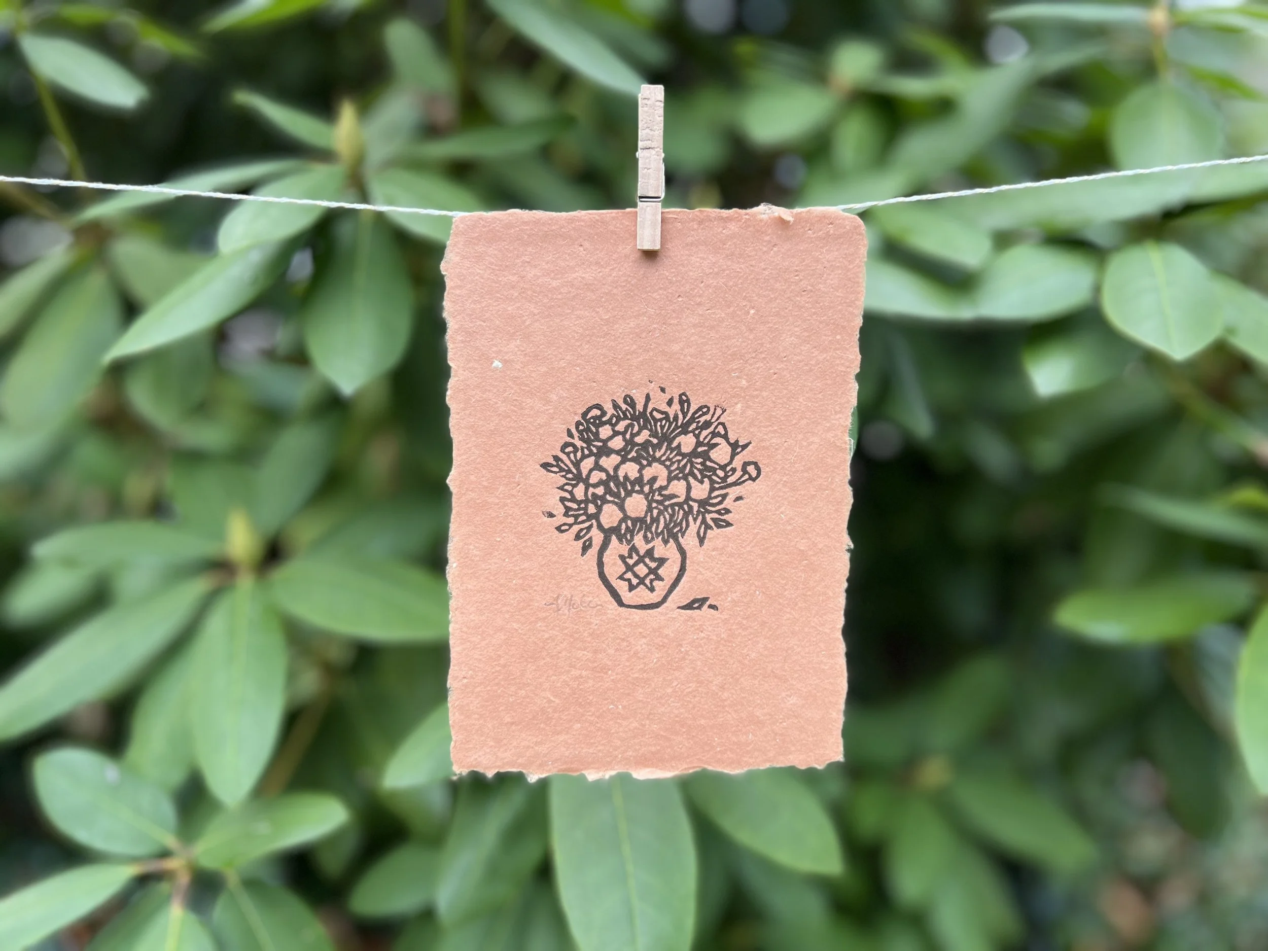 Marigolds Terra Horizontal.jpg