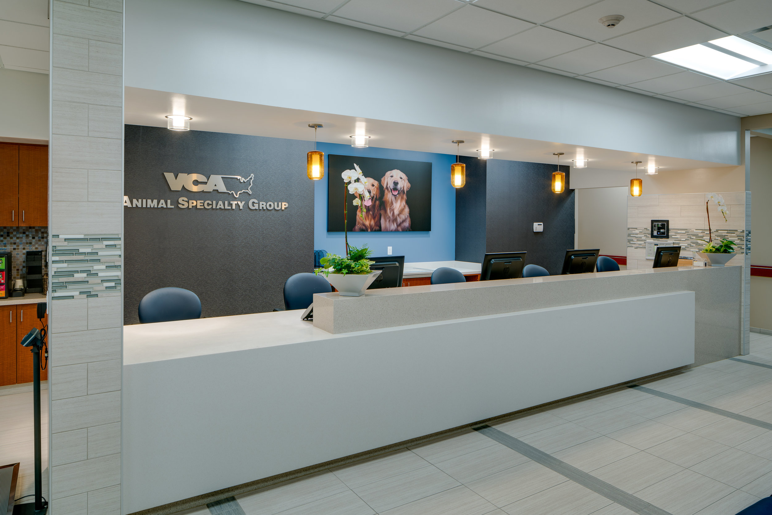 VCA Animal Specialty Group — Commercial & Veterinary Architecture .  Architects PC