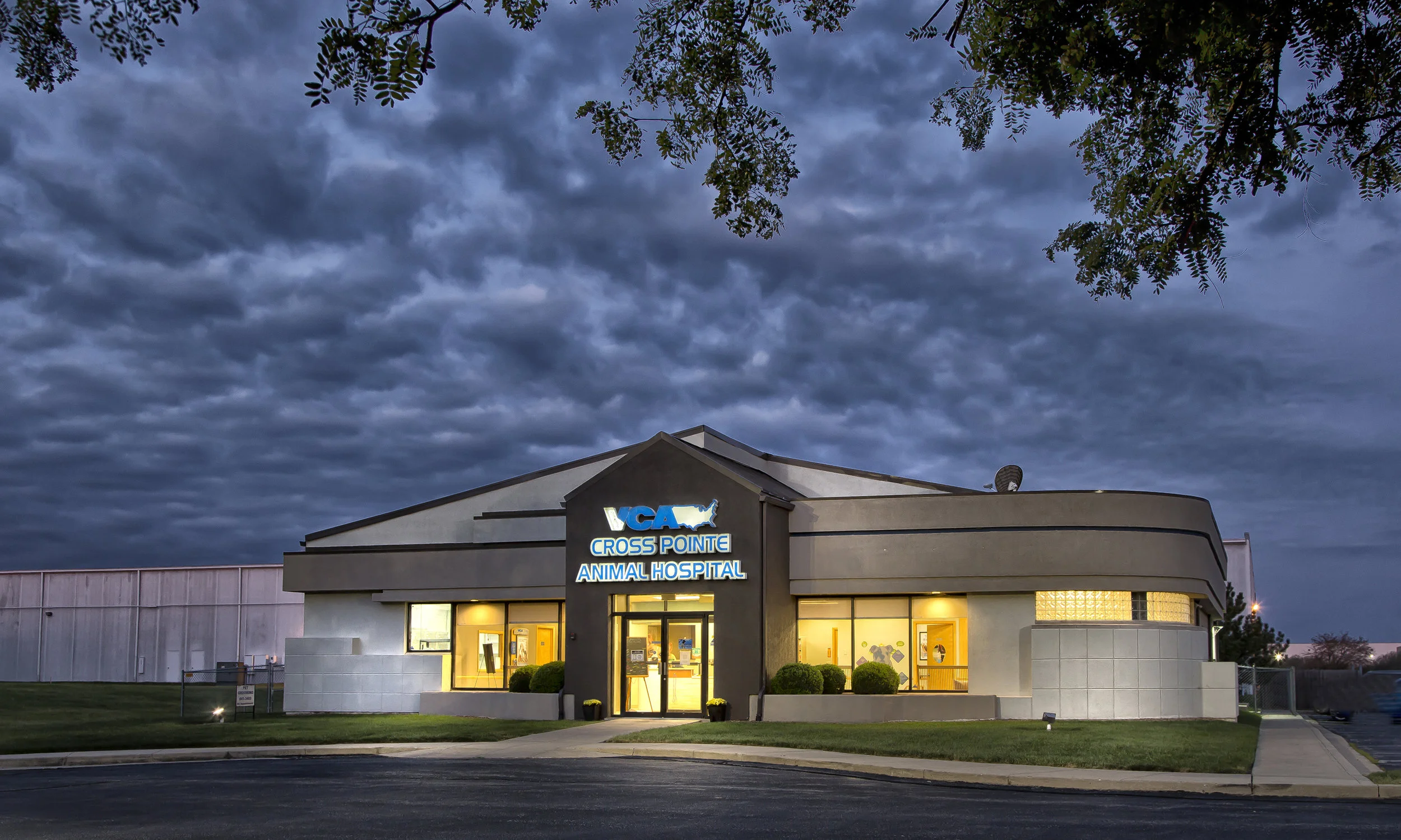 vca cloud animal hospital