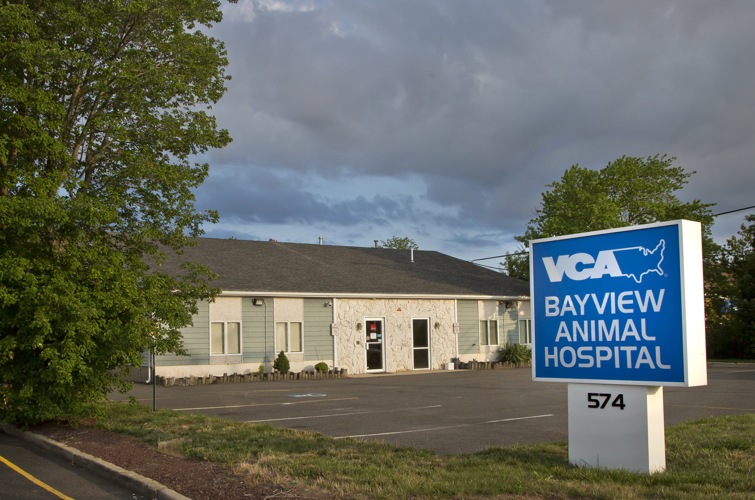 shadeland animal clinic