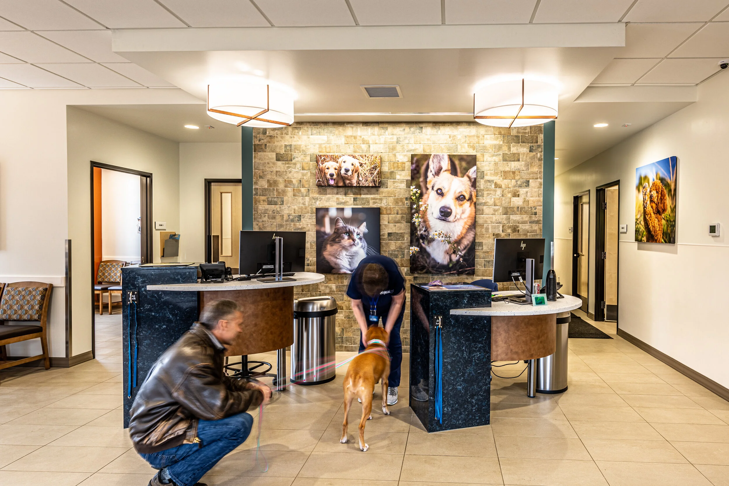 shadeland animal clinic