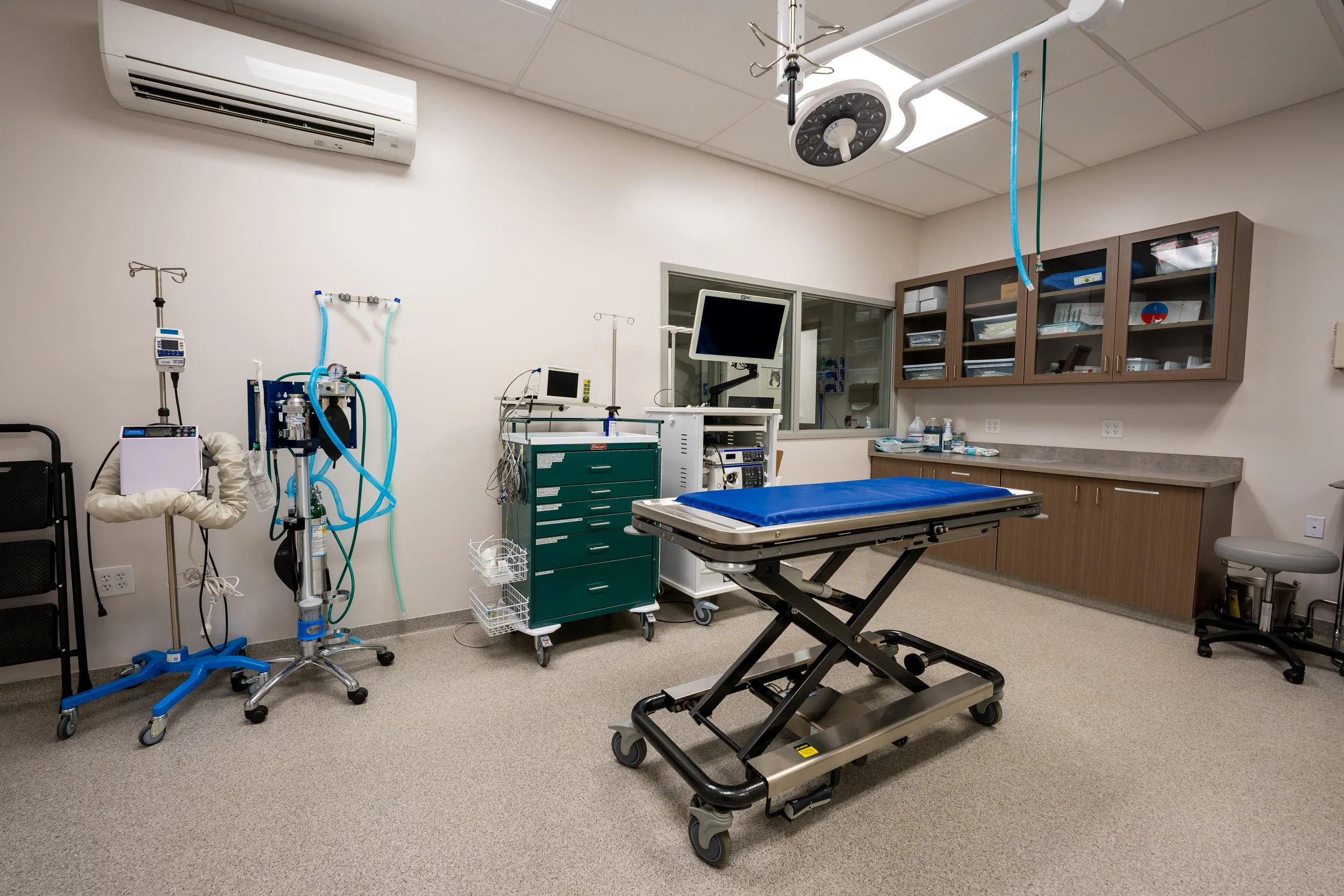 Metropolitan Veterinary Hospital — Commercial & Veterinary Architecture M.D. Architects PC