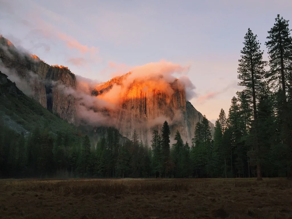 sarahvazquez-yosemite4.jpg