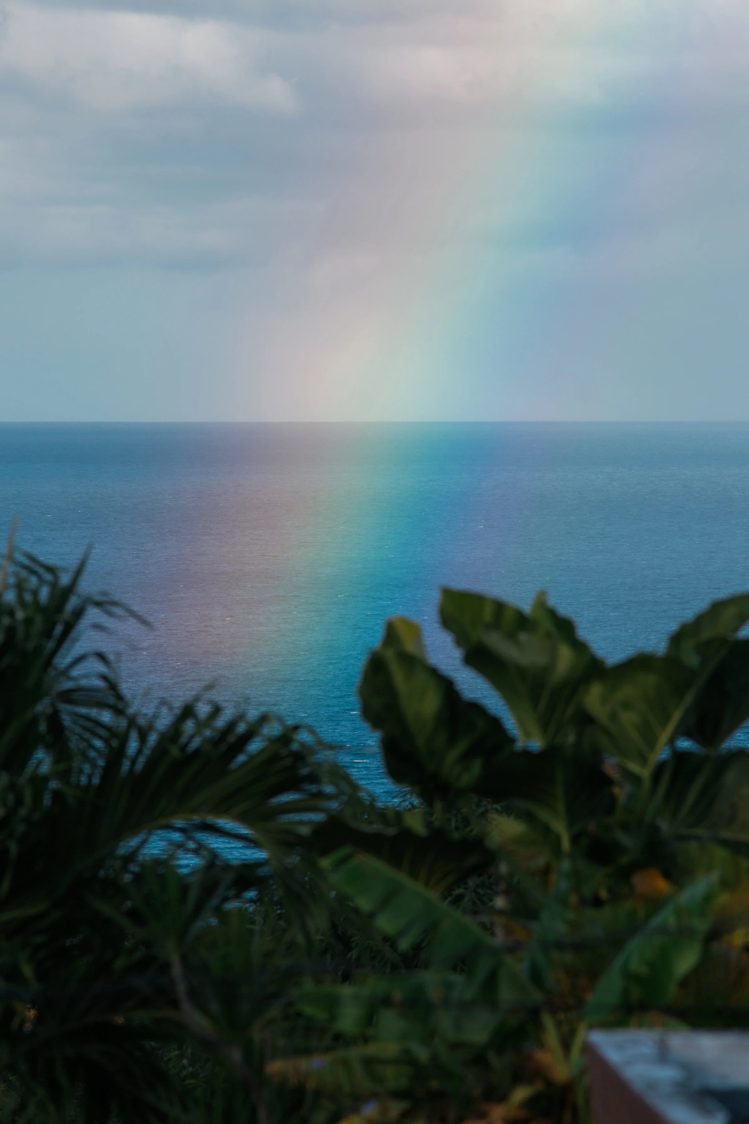 20170109-IMGL3129.jpg