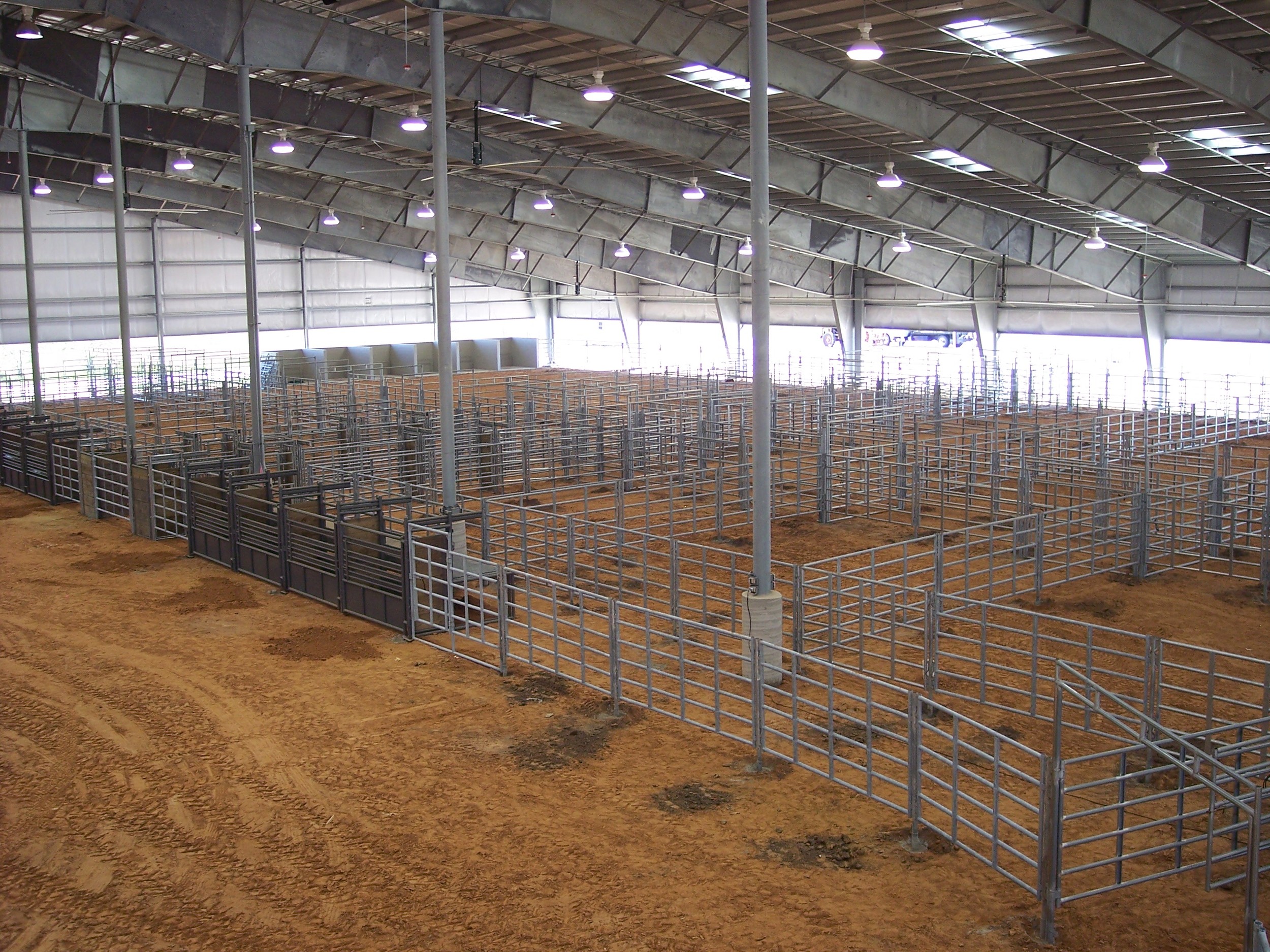 Bucking Chutes