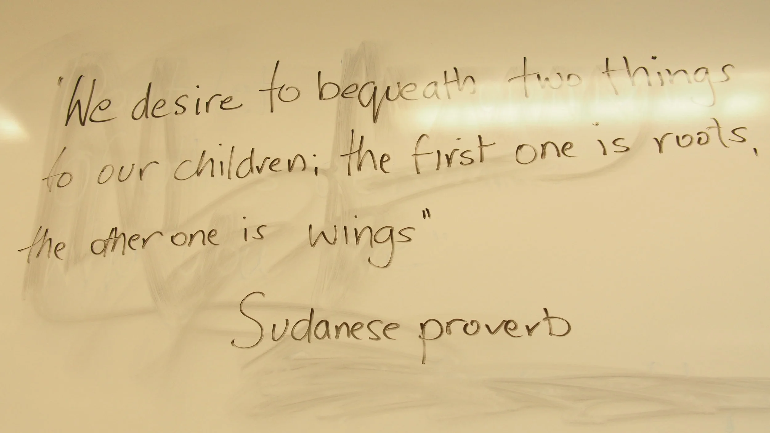 ACHA Programming.jpg