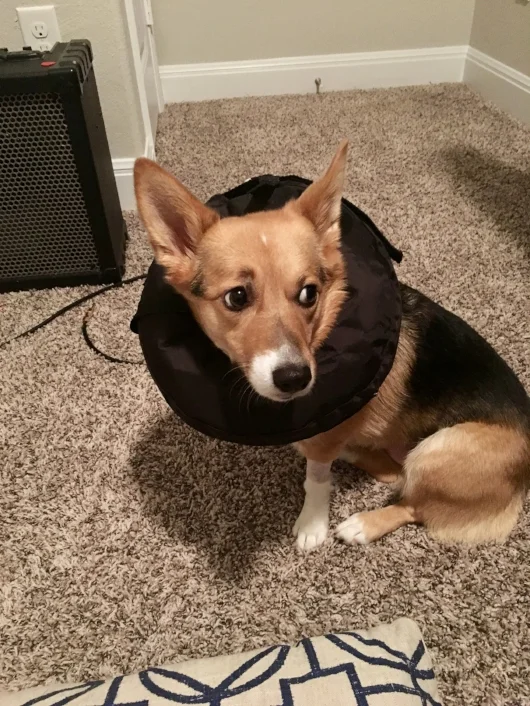 Doesn't she look so cuuuuute?