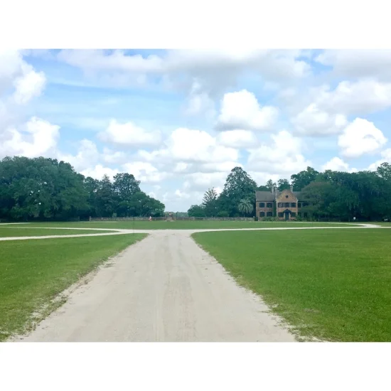 The Middleton Plantation